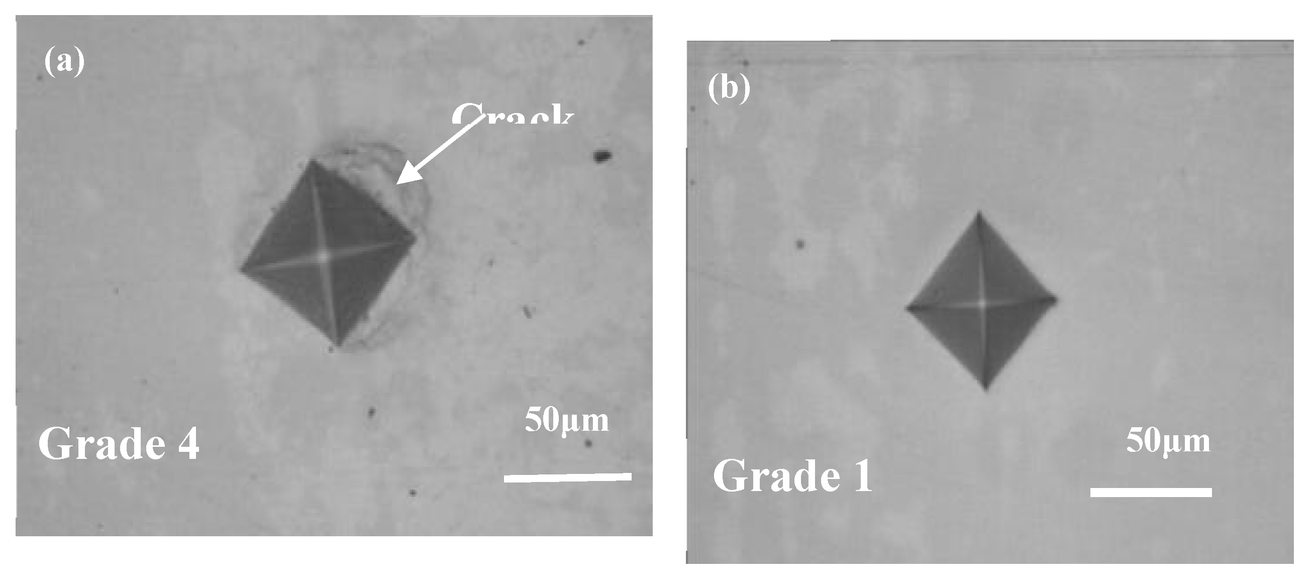 Preprints 115668 g009