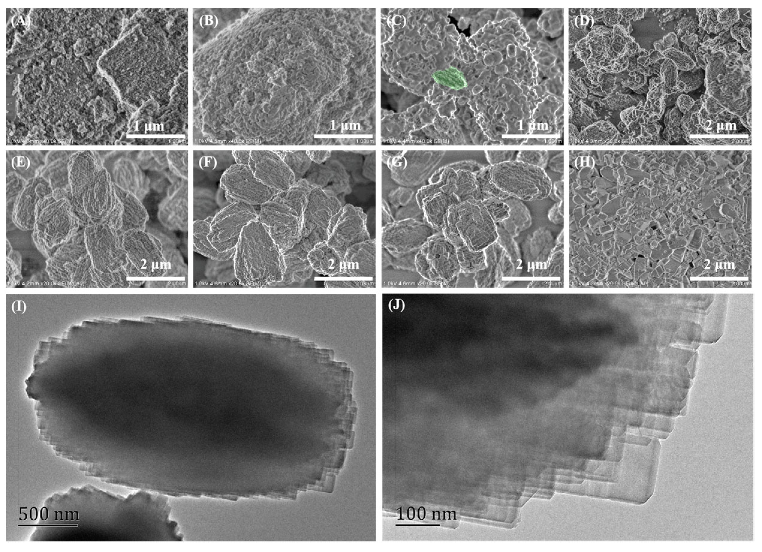 Preprints 73929 g005