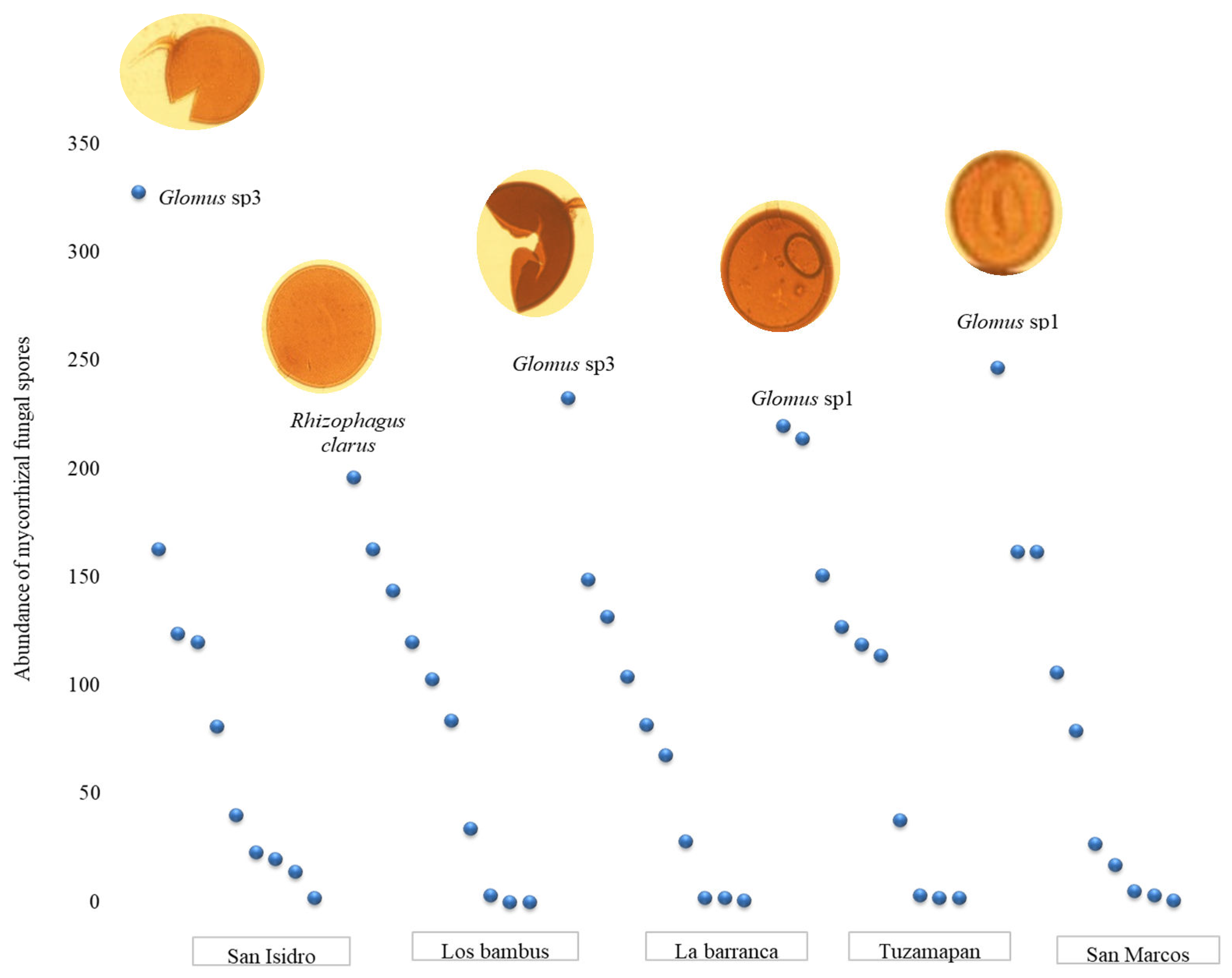 Preprints 104385 g002