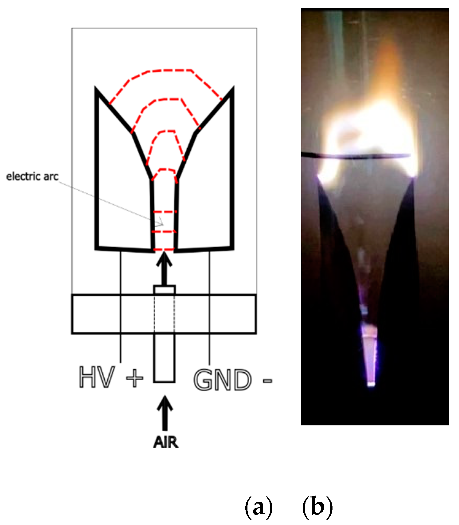 Preprints 112013 g001