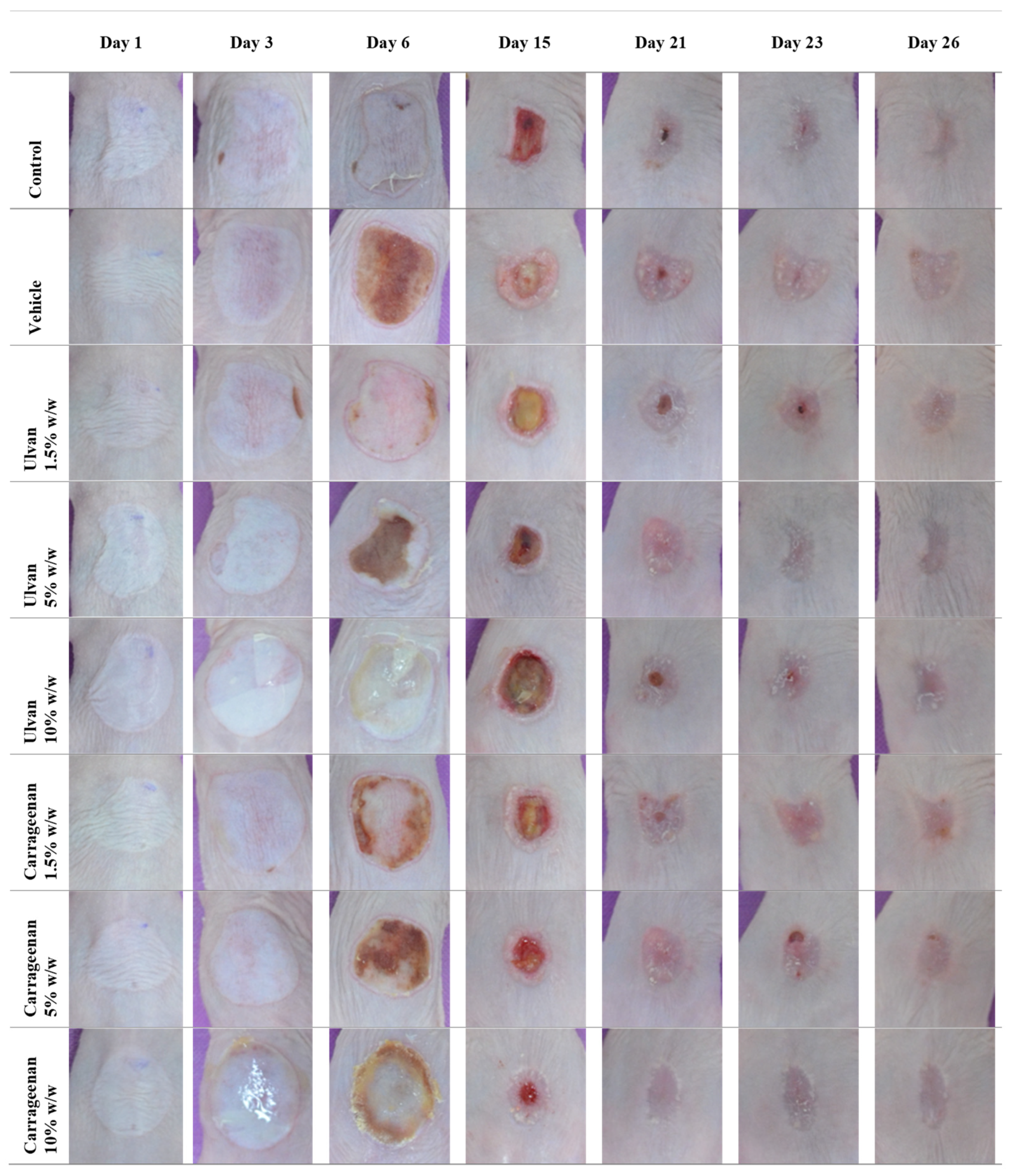 Preprints 102073 g001