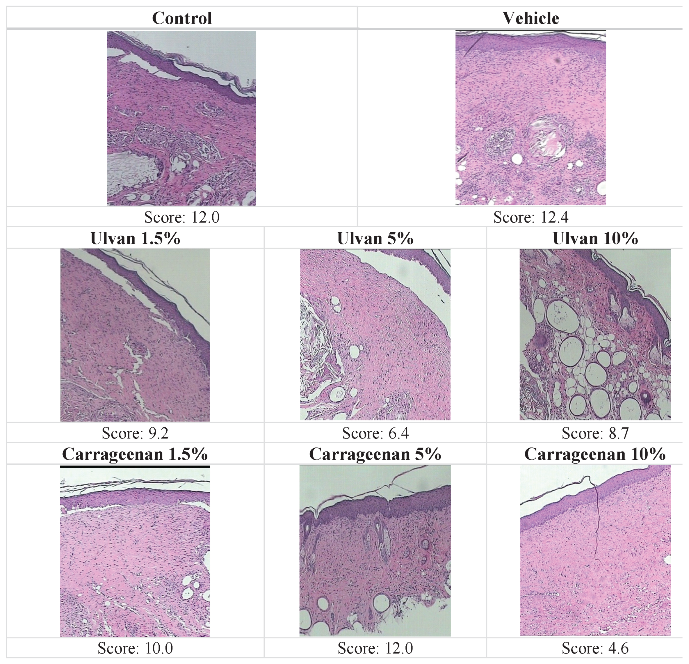 Preprints 102073 g003