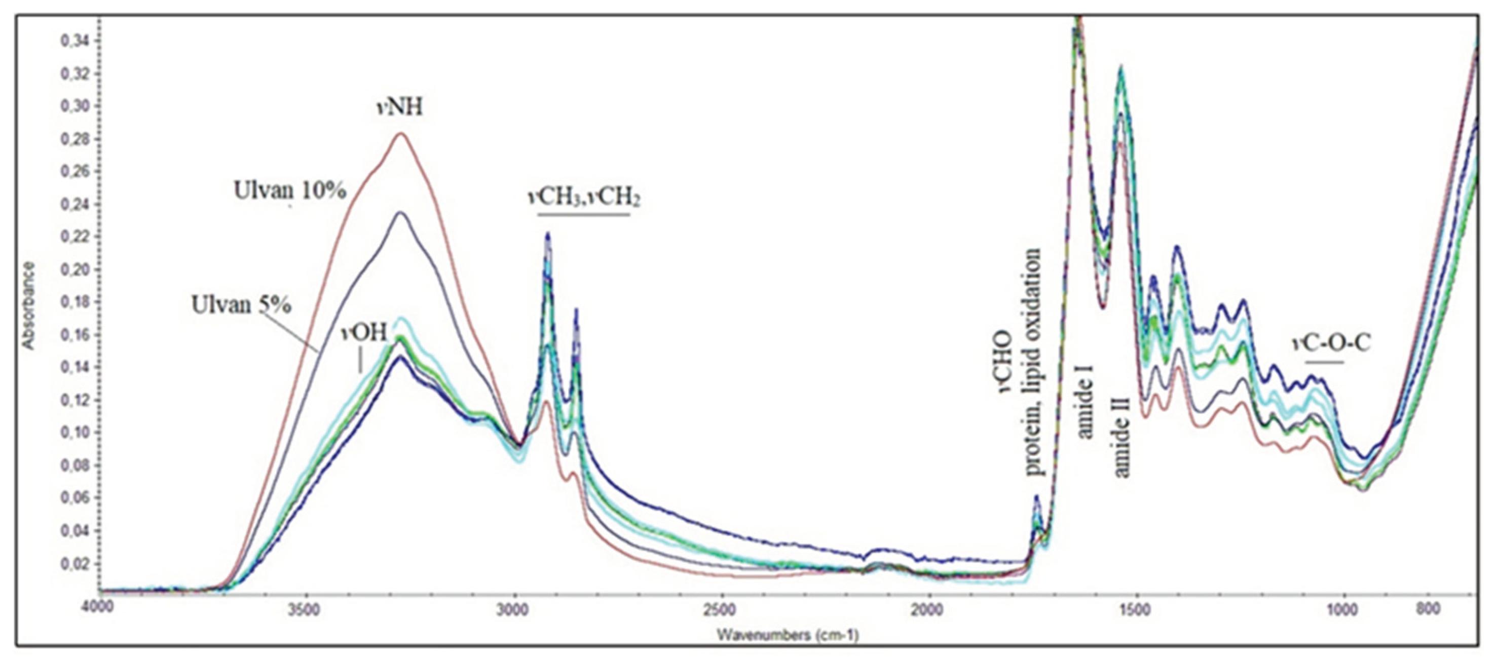 Preprints 102073 g006