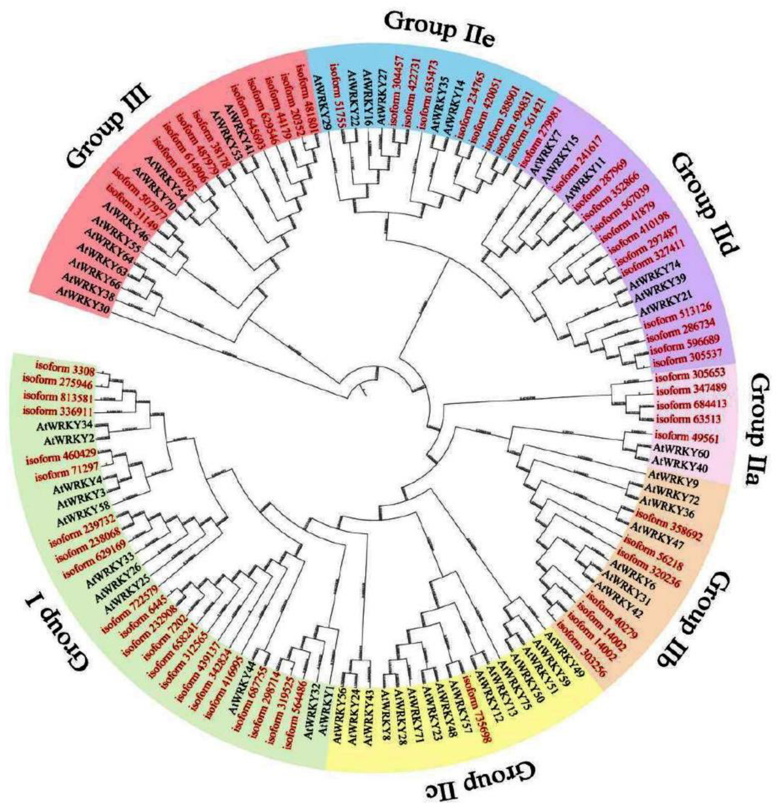 Preprints 87256 g001