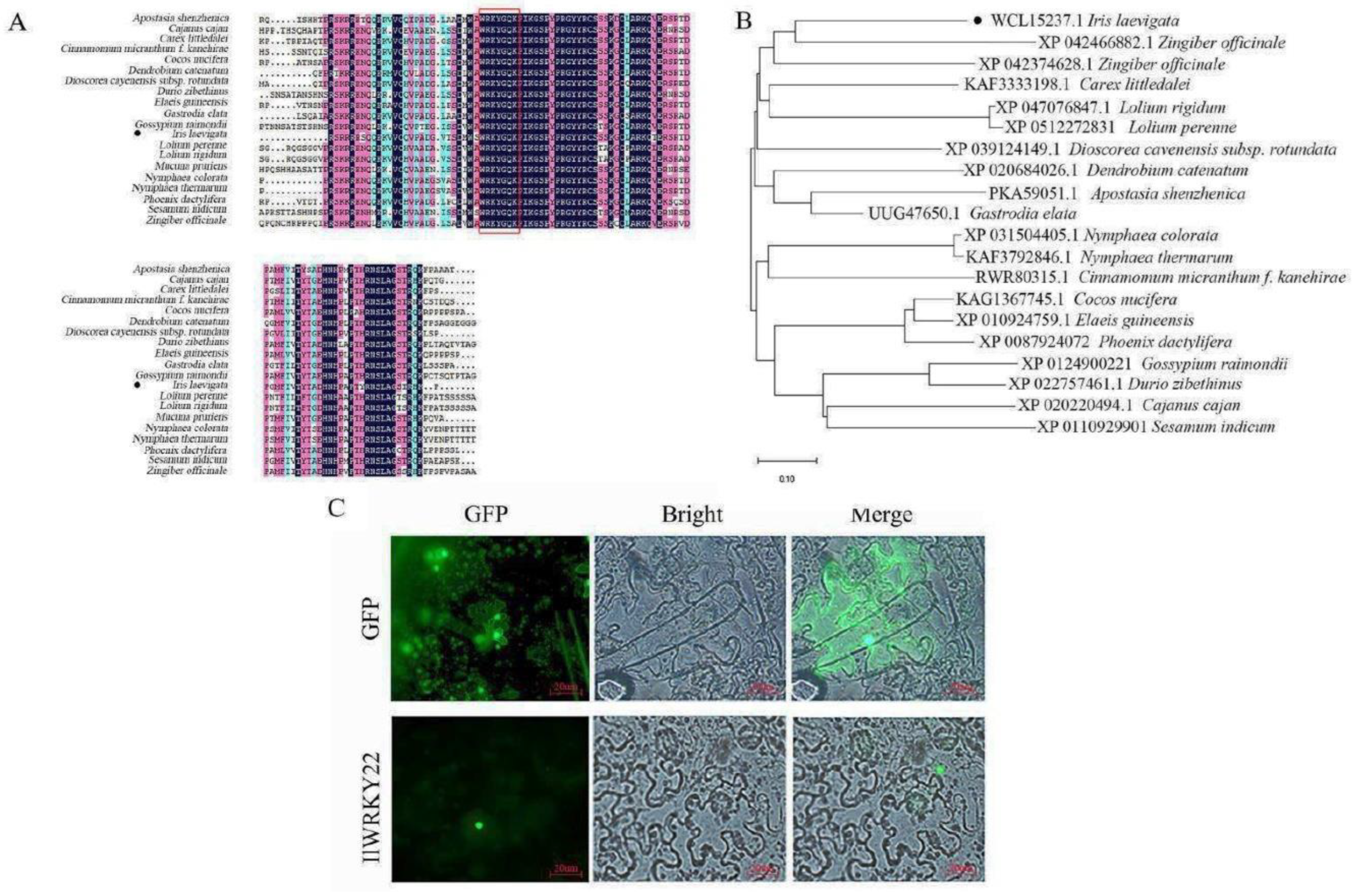 Preprints 87256 g002