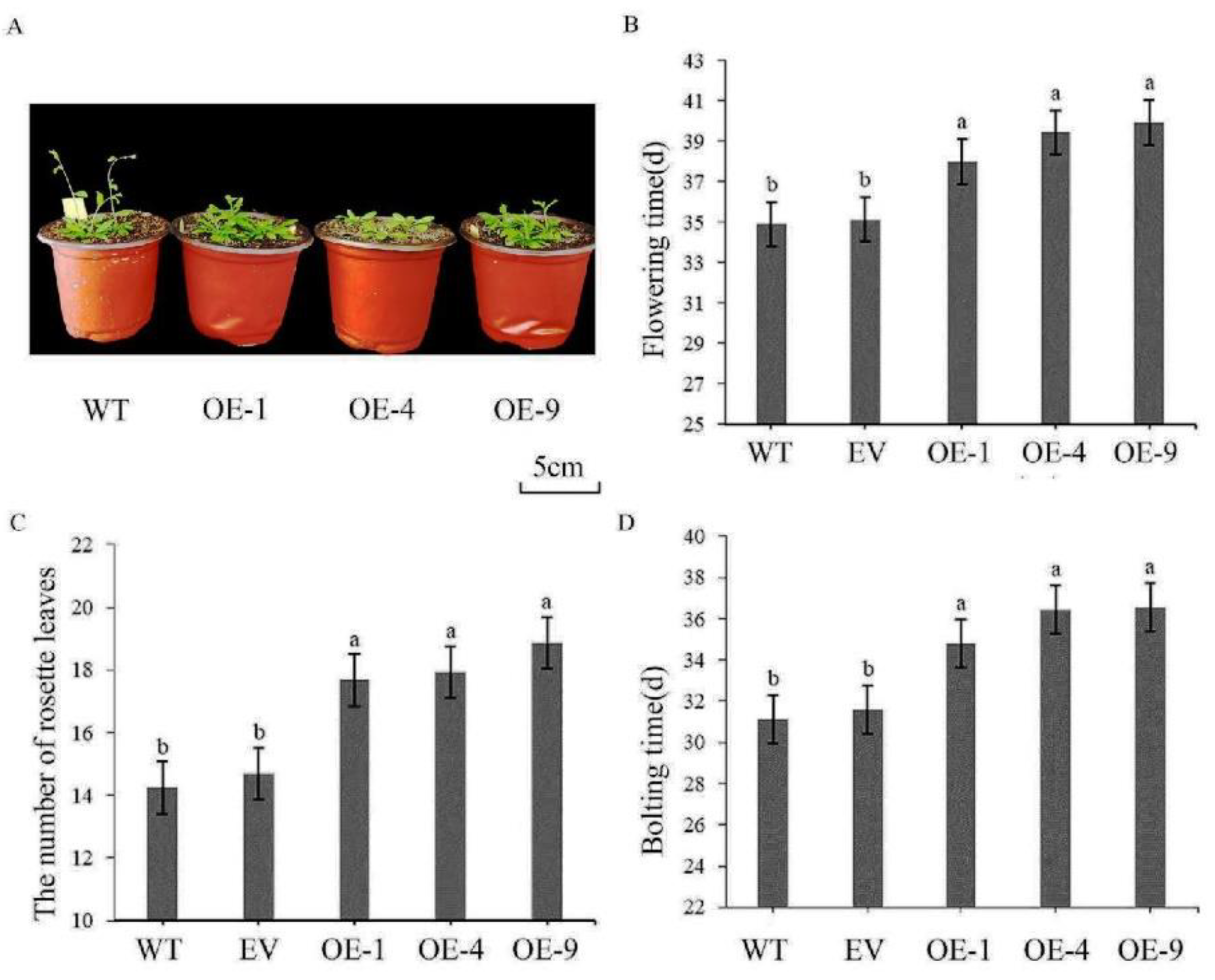 Preprints 87256 g003