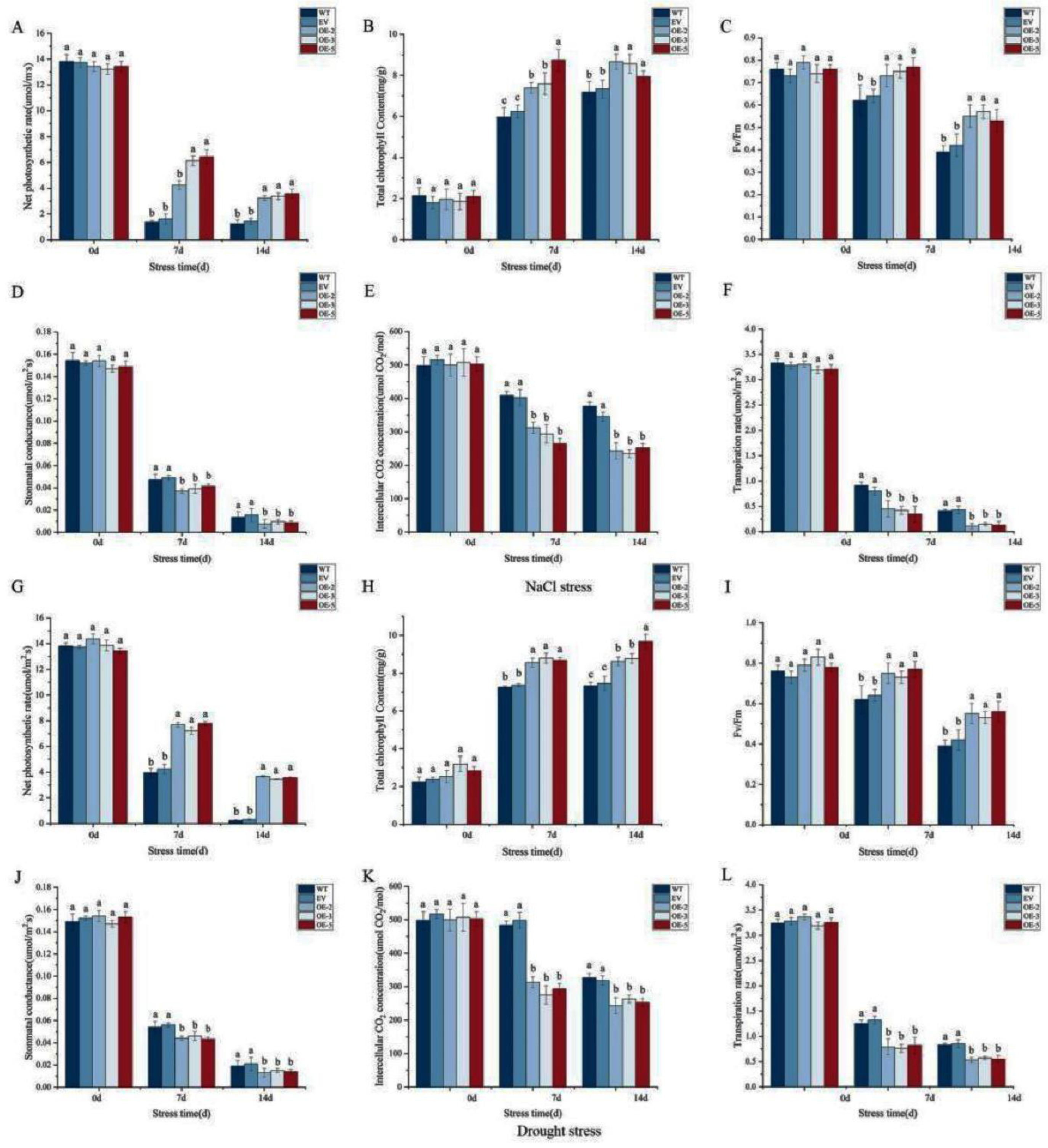 Preprints 87256 g006