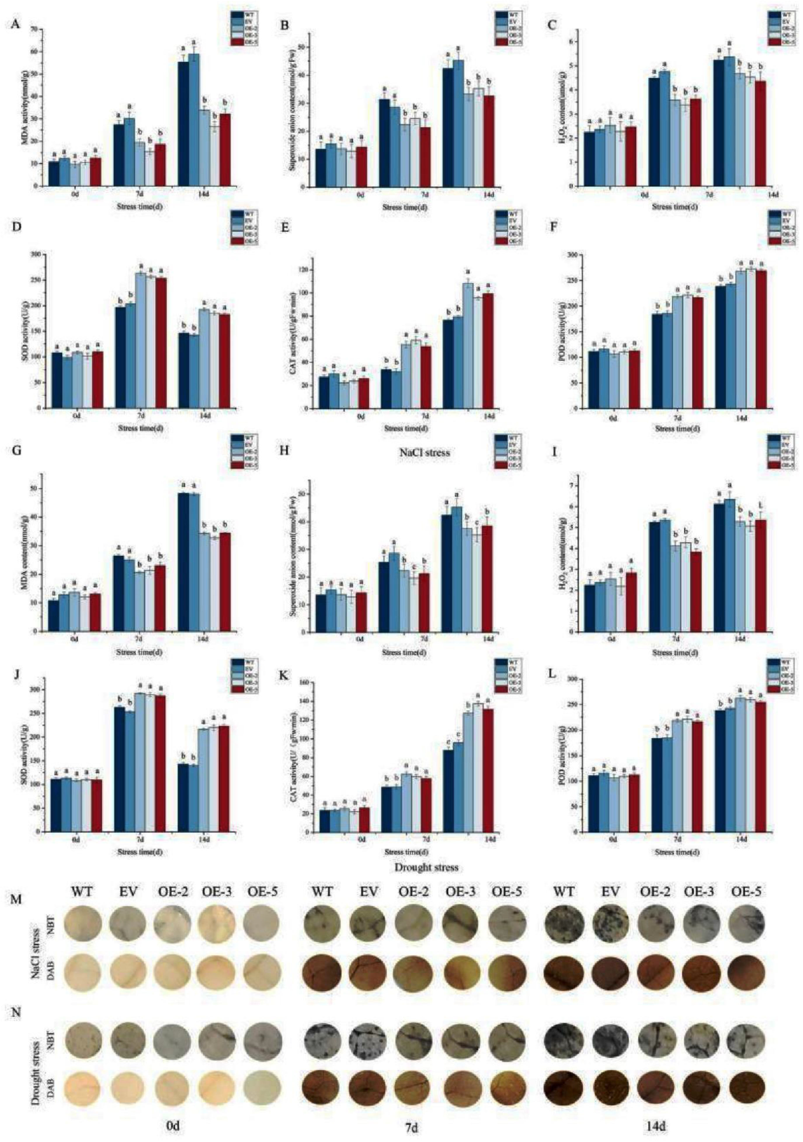 Preprints 87256 g007