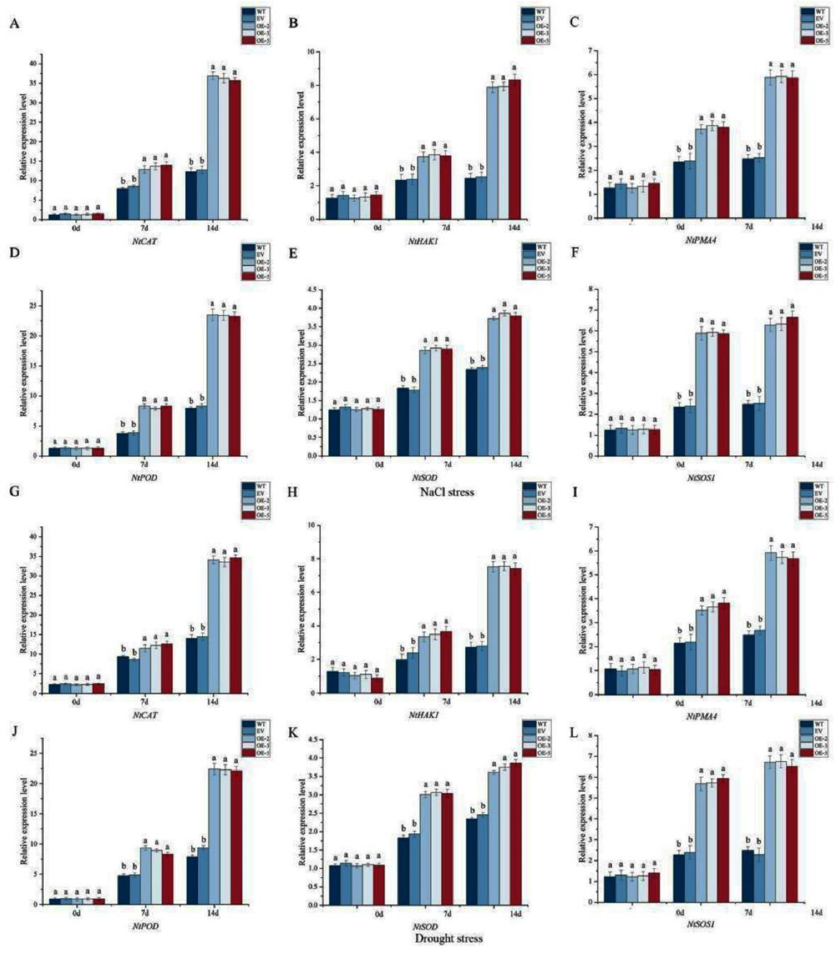 Preprints 87256 g008