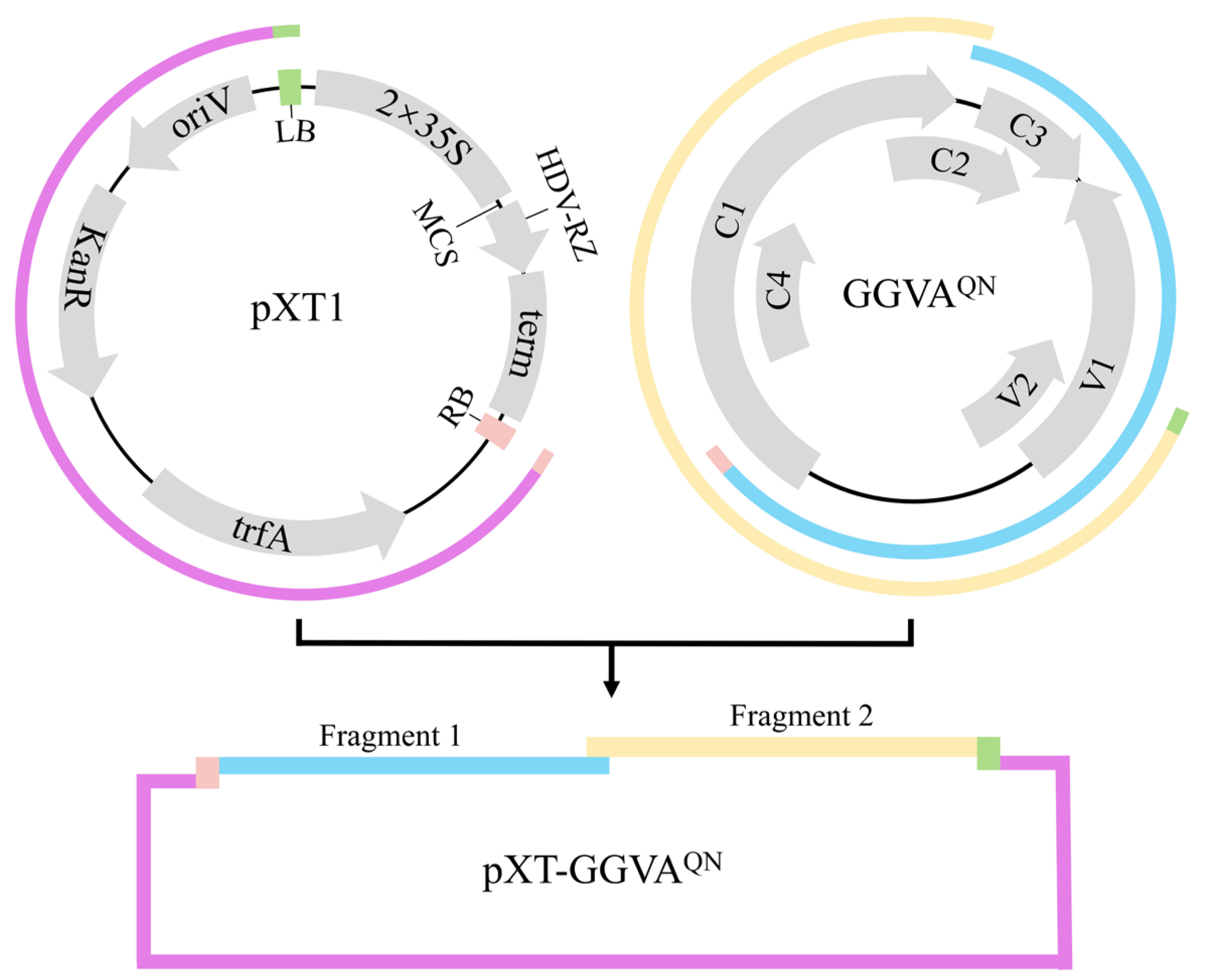 Preprints 106461 g001