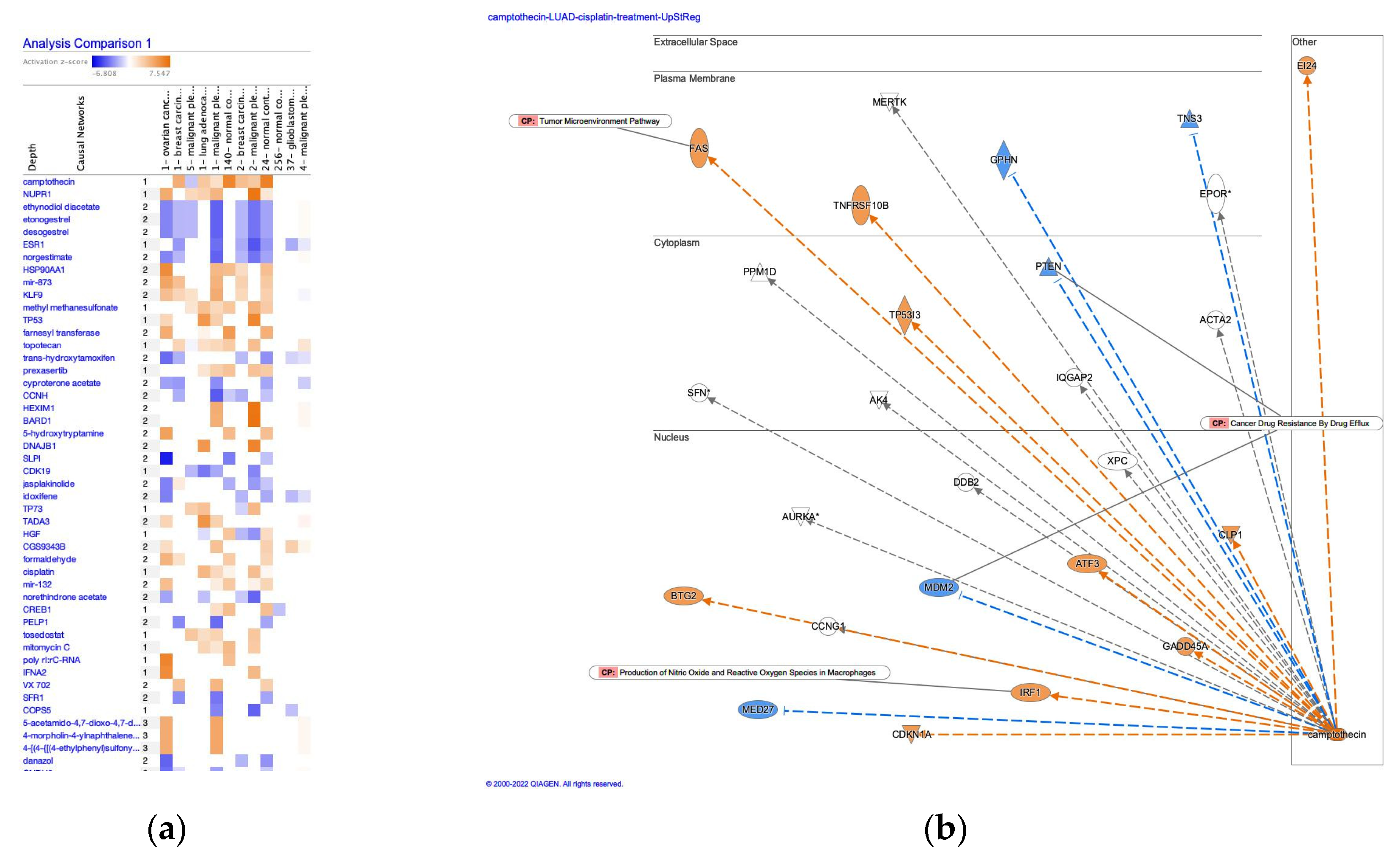 Preprints 73970 g002