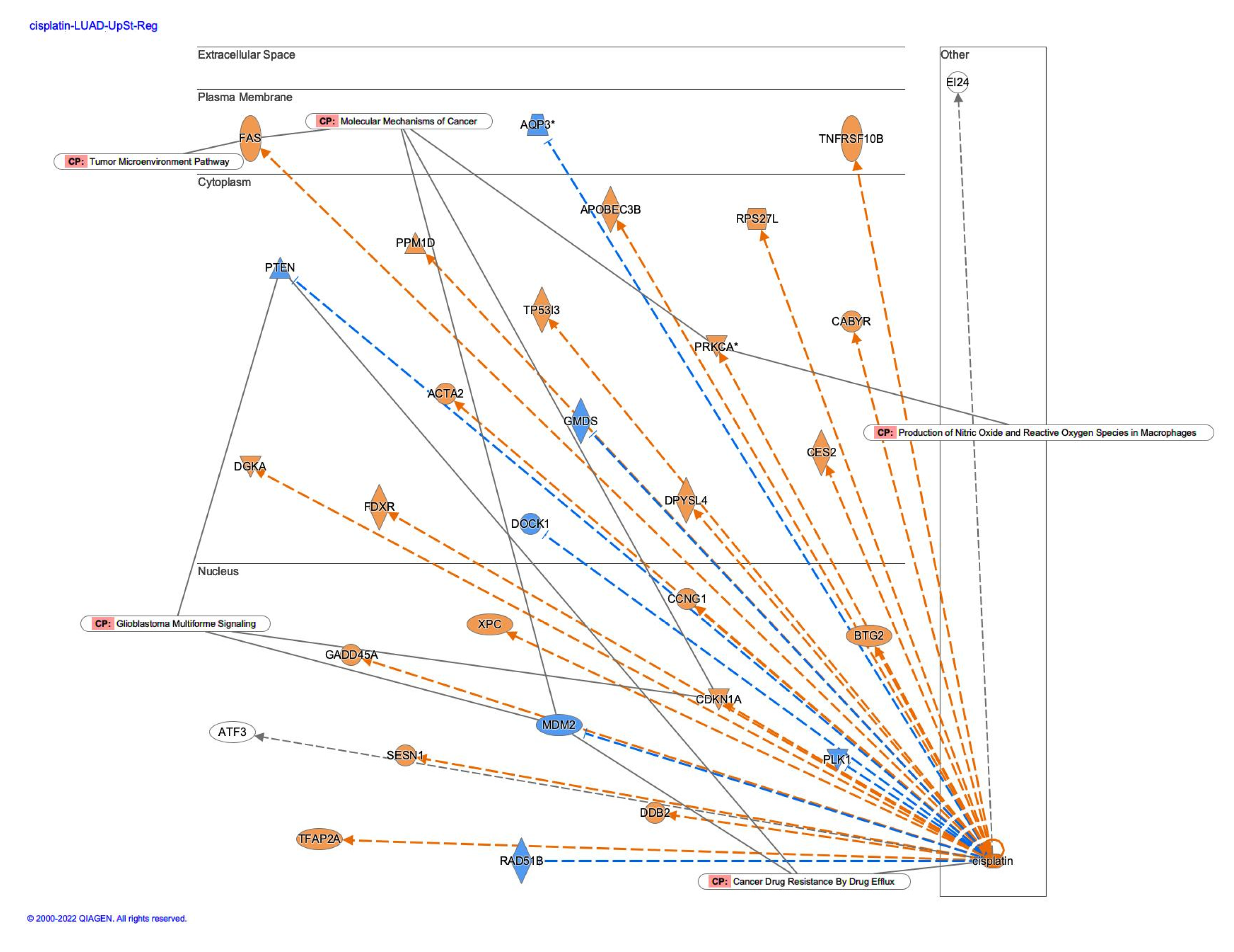 Preprints 73970 g003