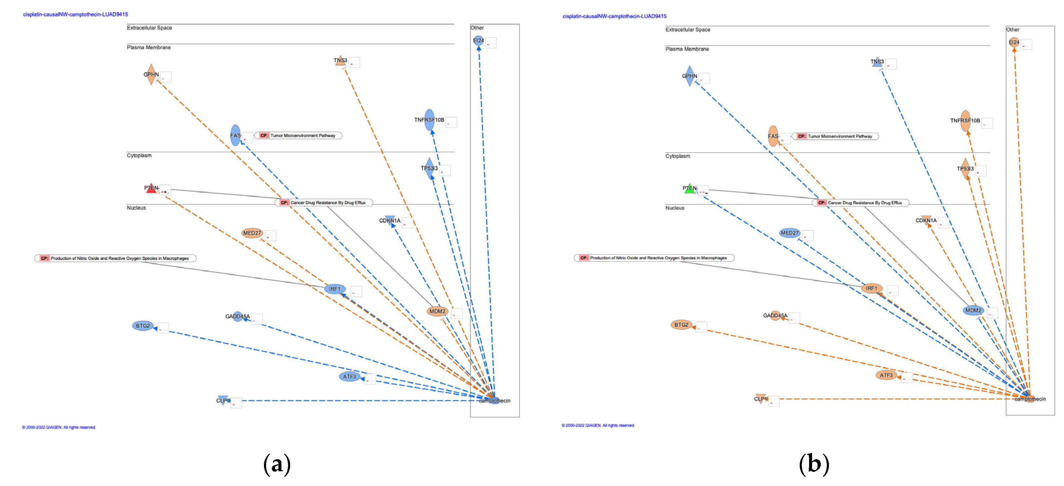 Preprints 73970 g005