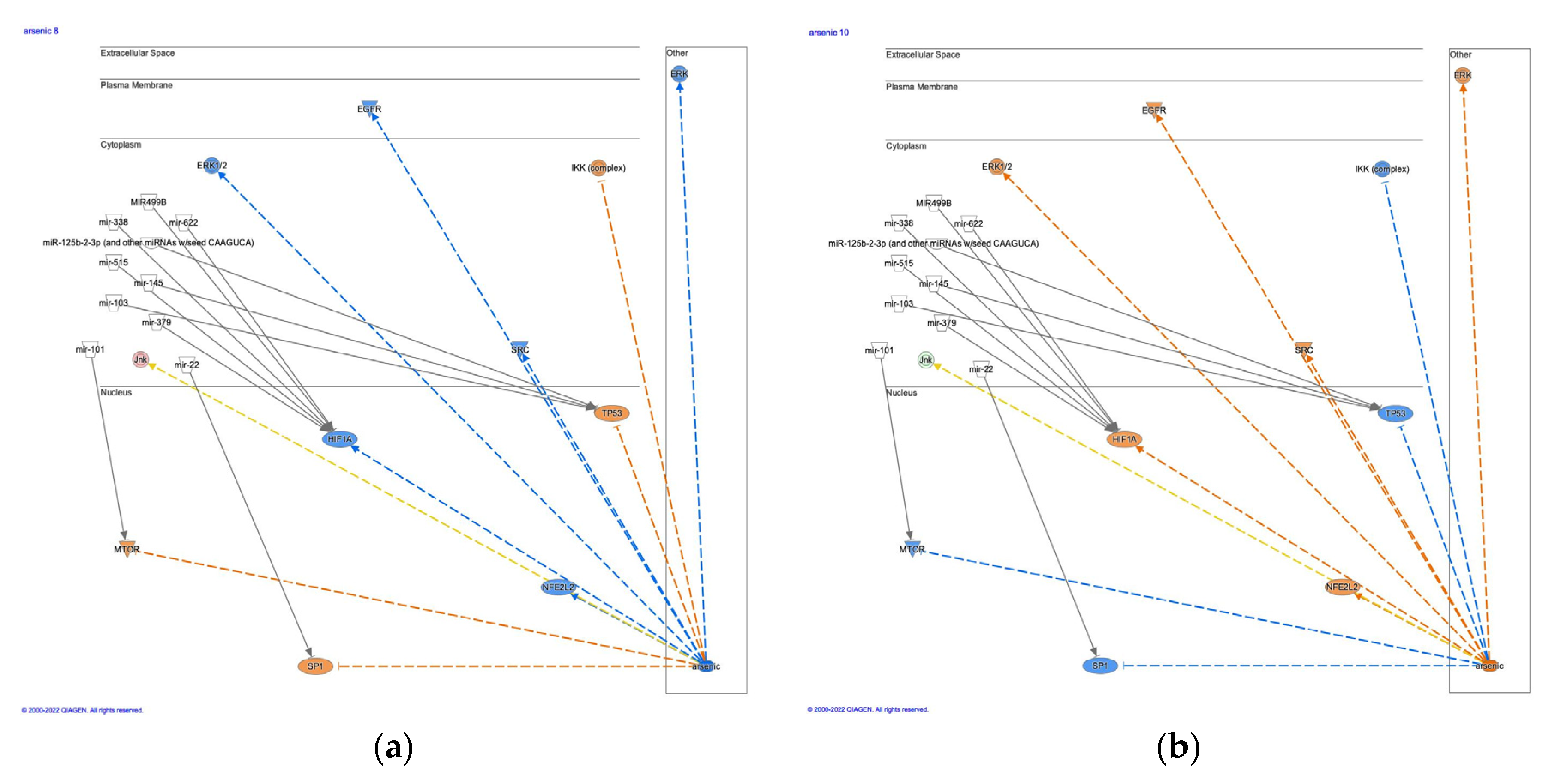 Preprints 73970 g006