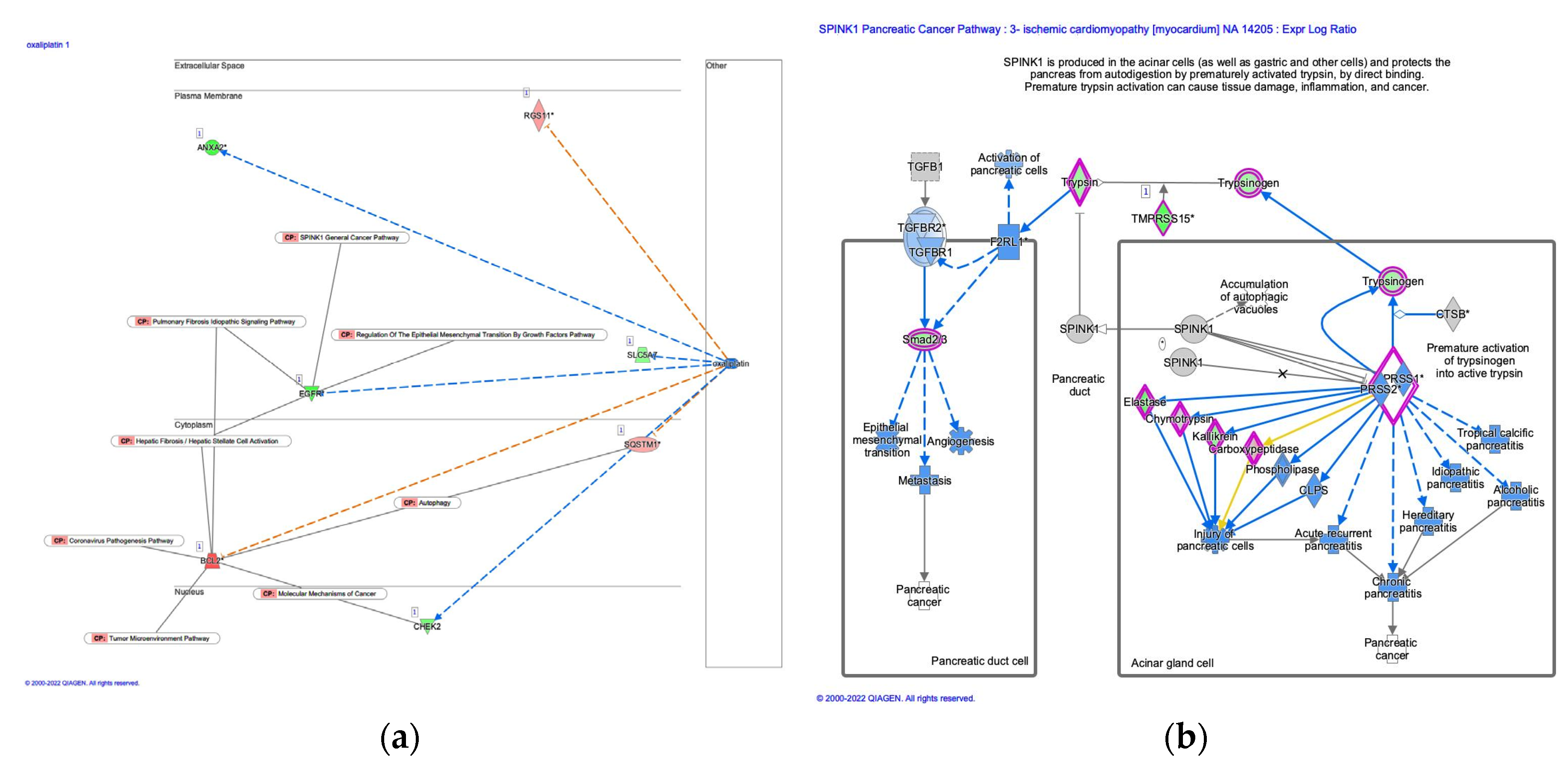 Preprints 73970 g007