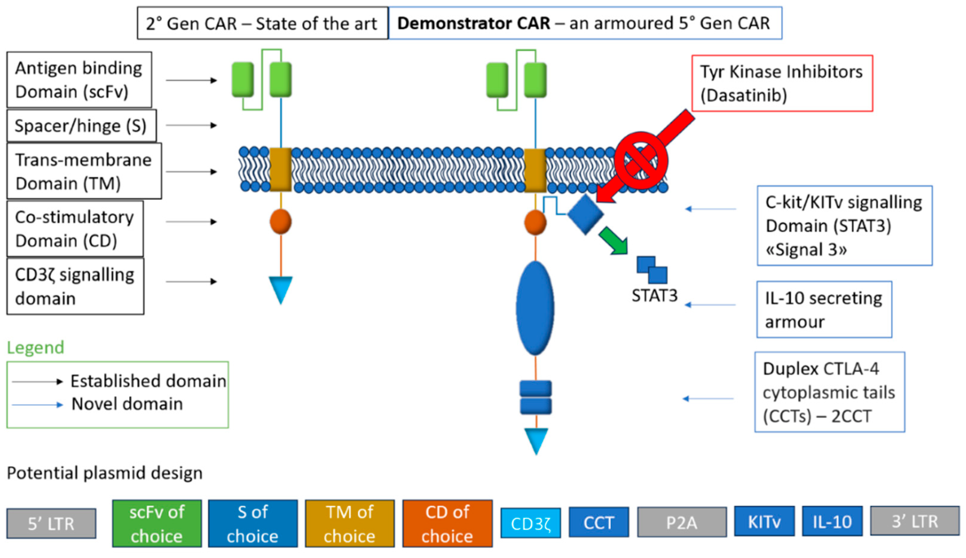 Preprints 115857 g001