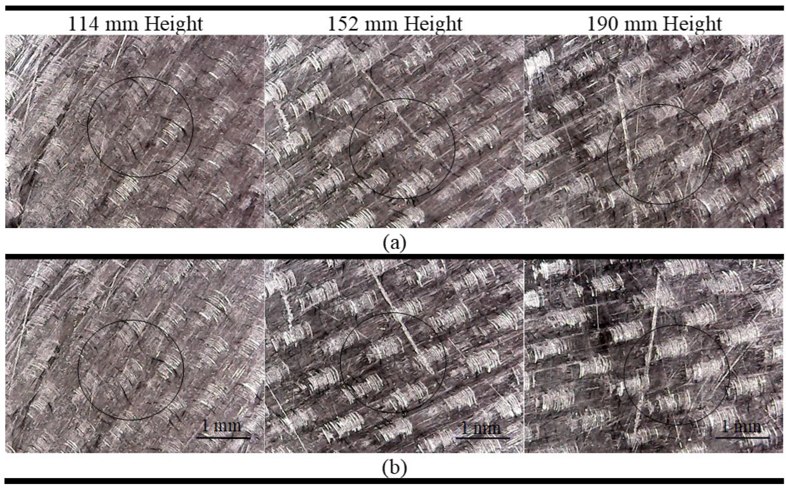 Preprints 114972 g003