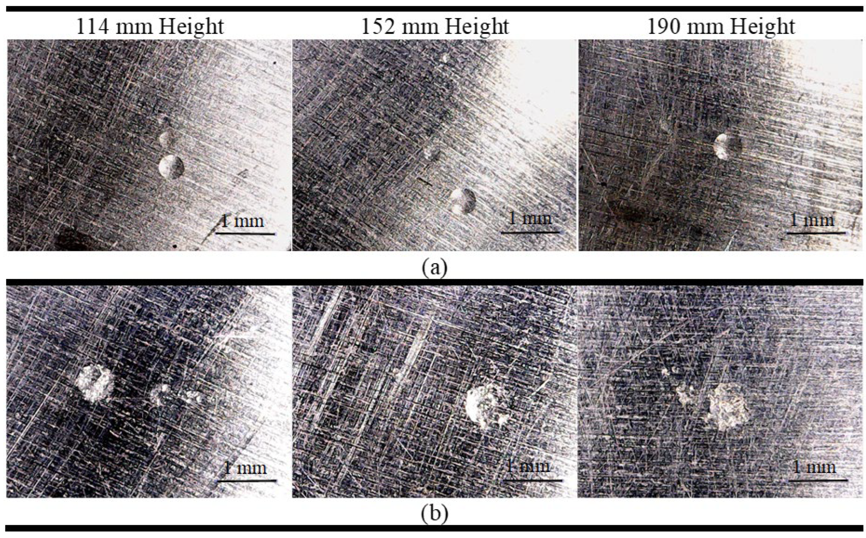 Preprints 114972 g004