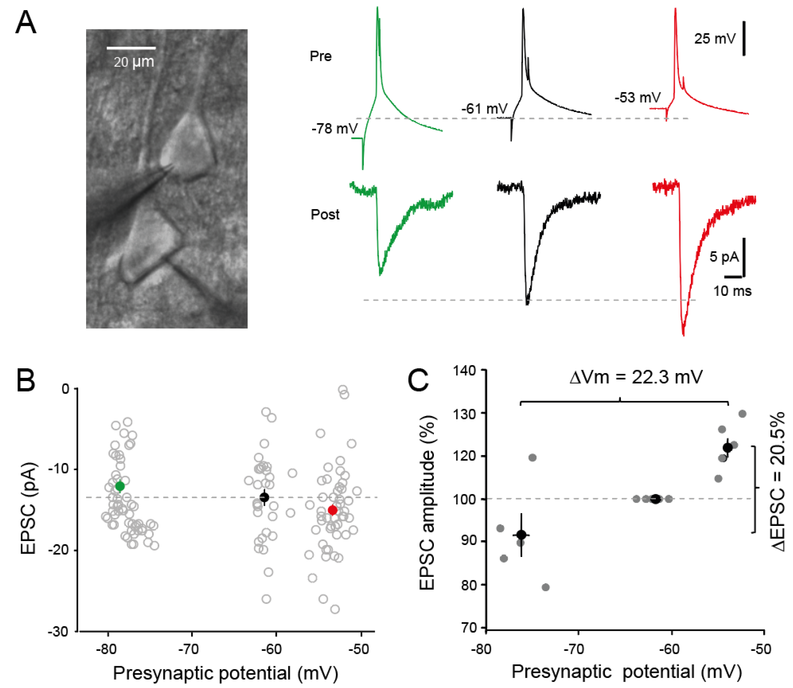 Preprints 100496 g001