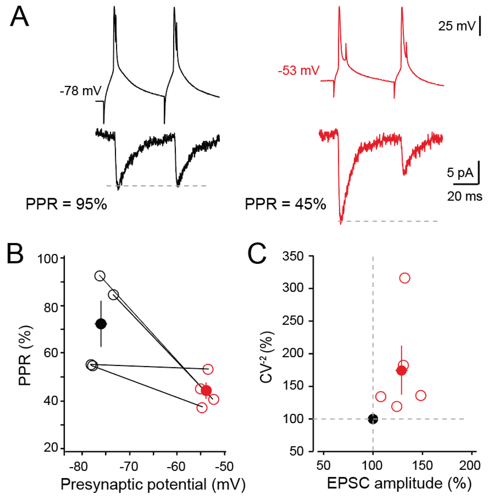 Preprints 100496 g002