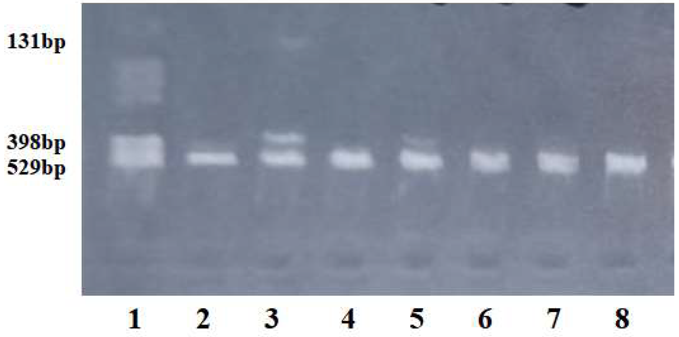 Preprints 119312 g001