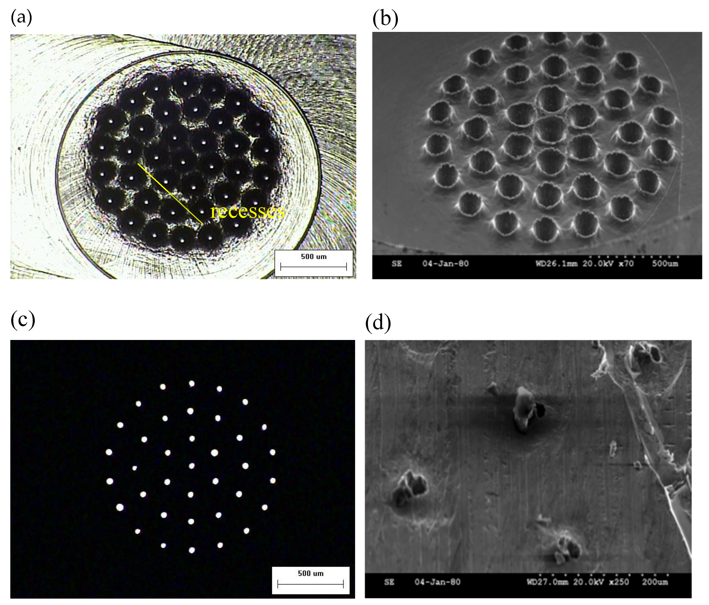 Preprints 71281 g007