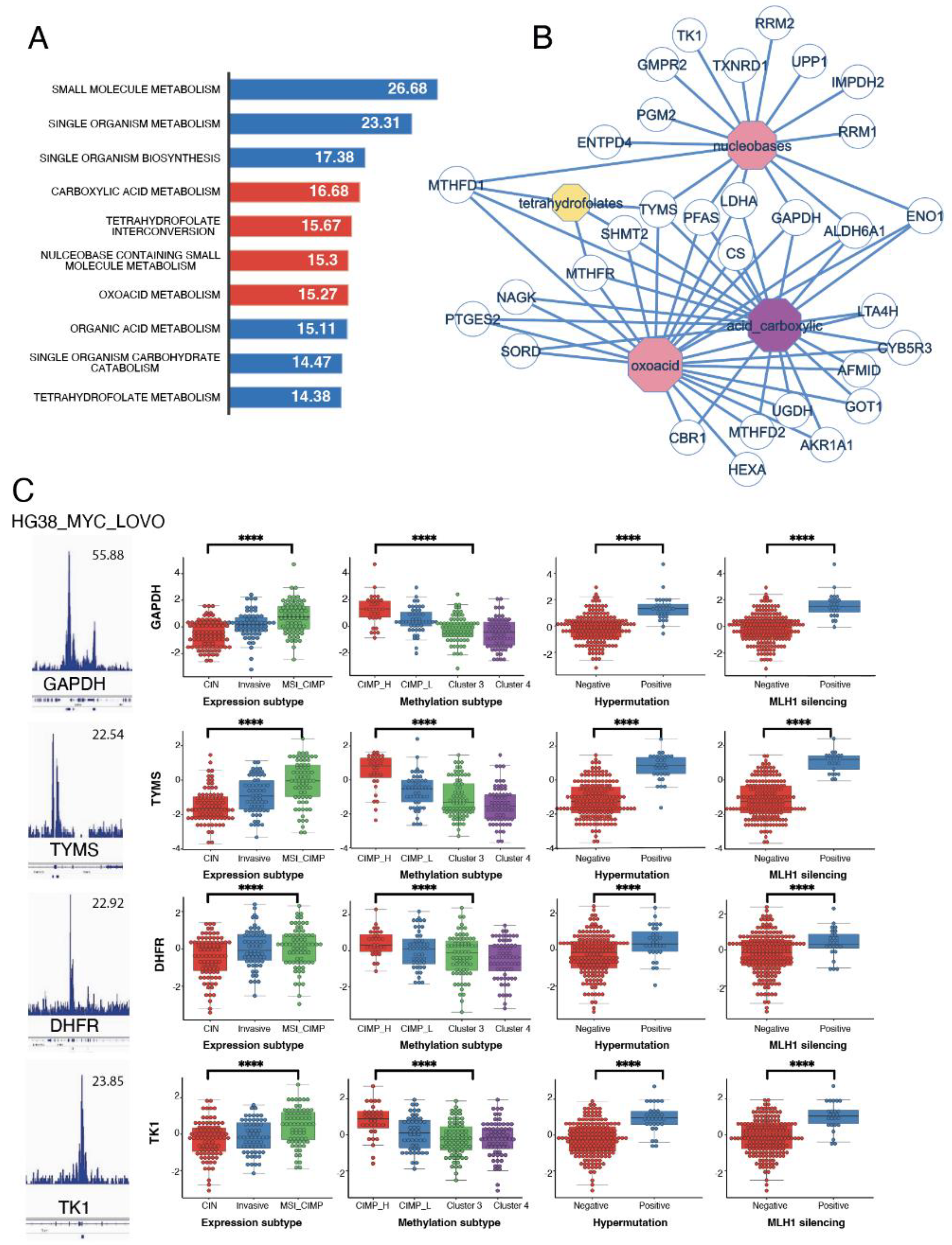 Preprints 98445 g004