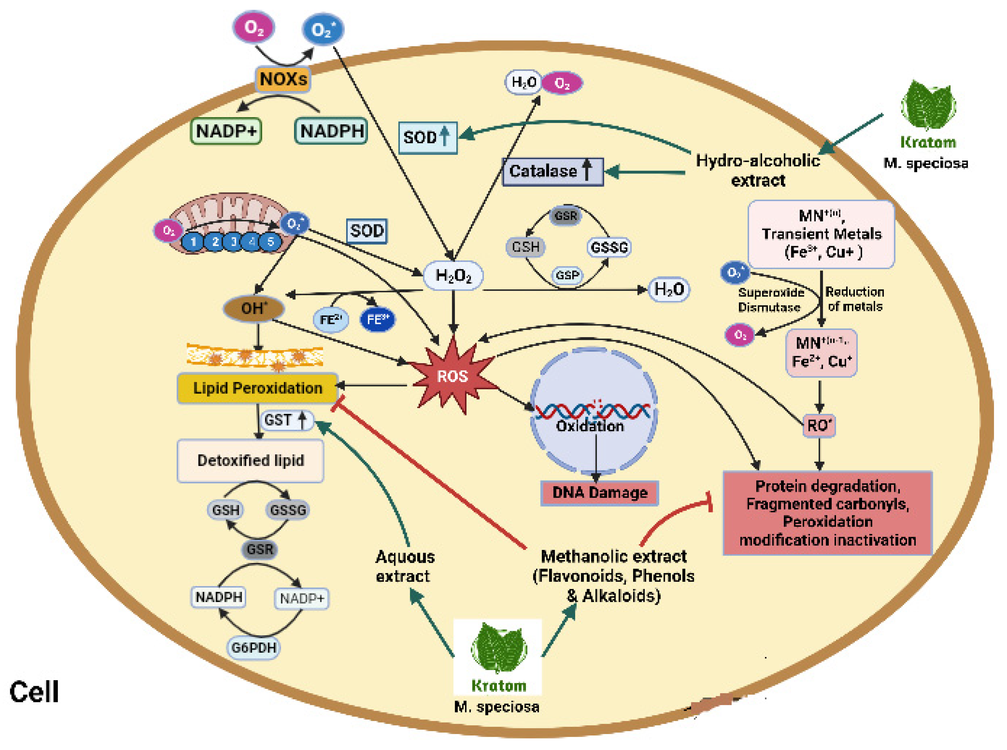 Preprints 85683 g008