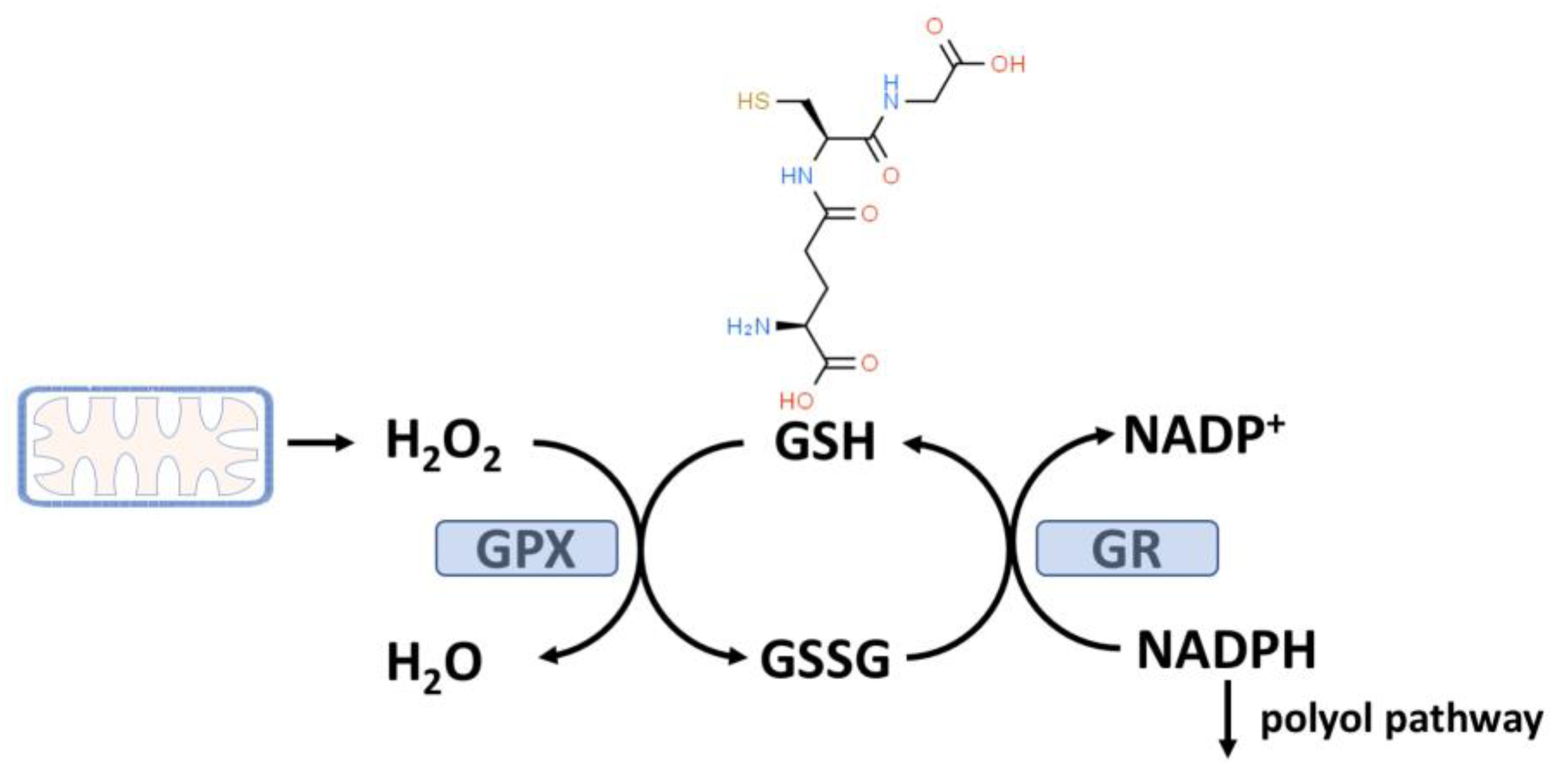 Preprints 112910 g001