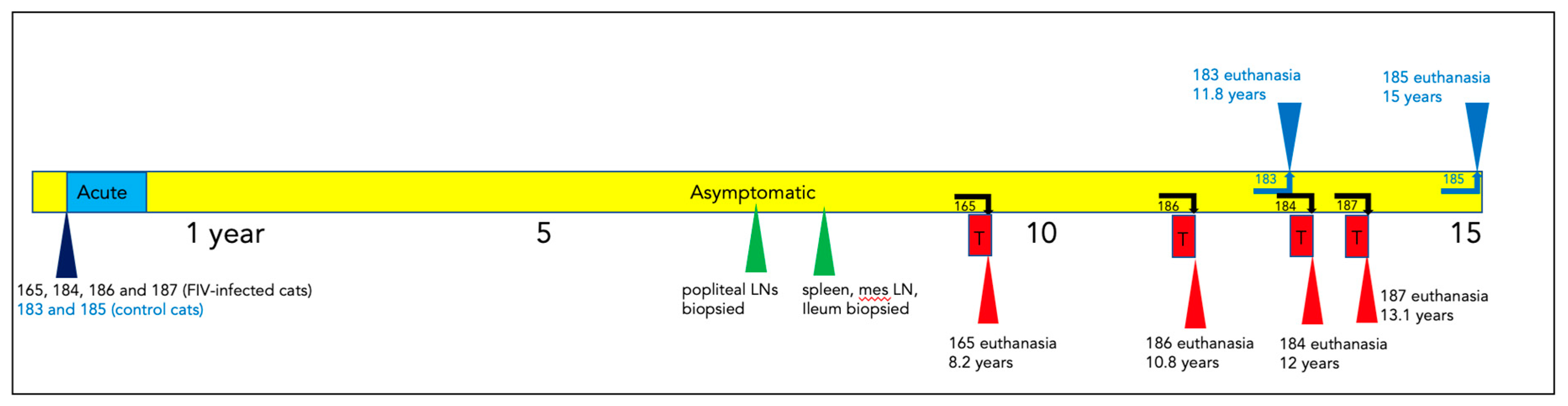 Preprints 80951 g001