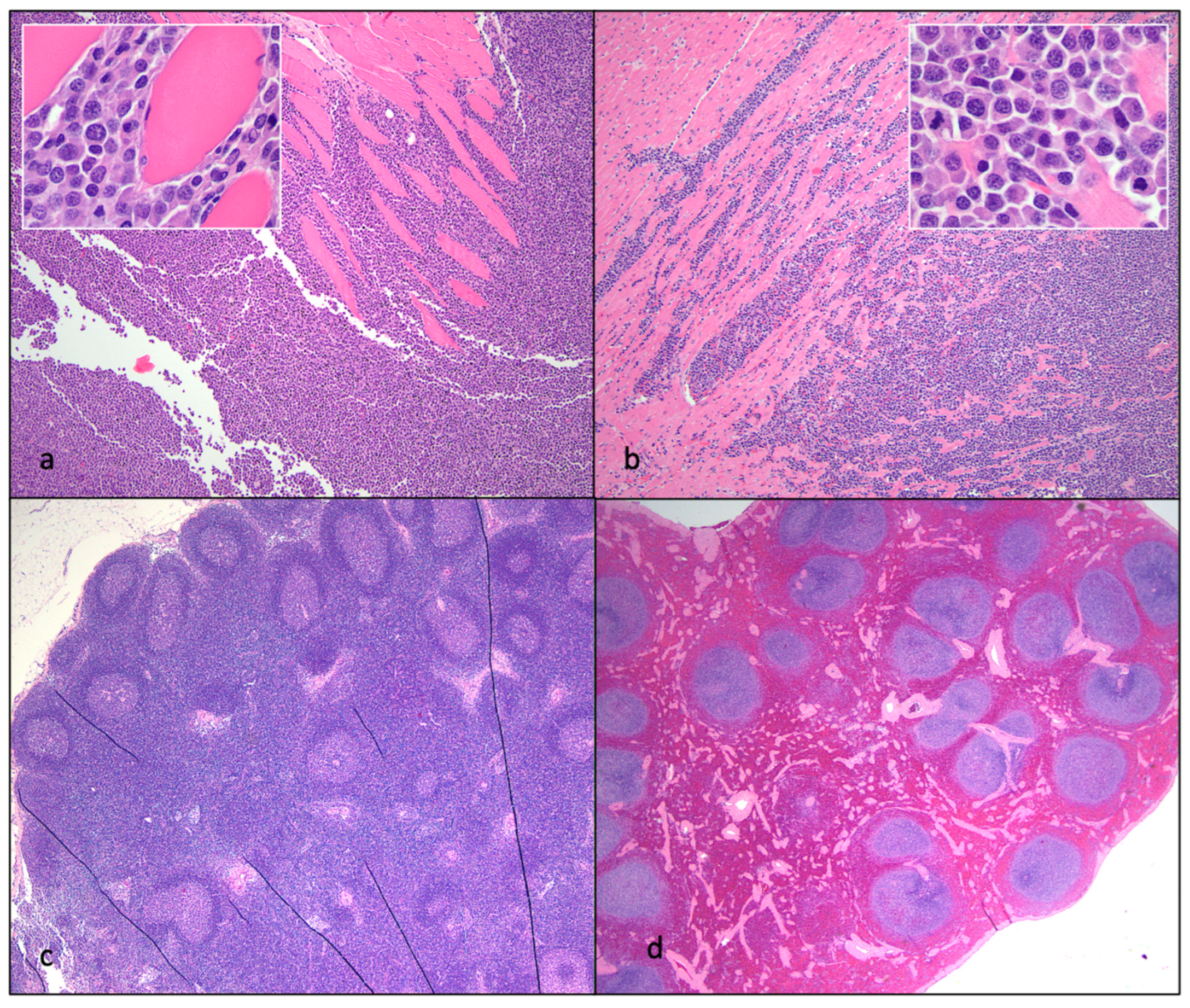 Preprints 80951 g012