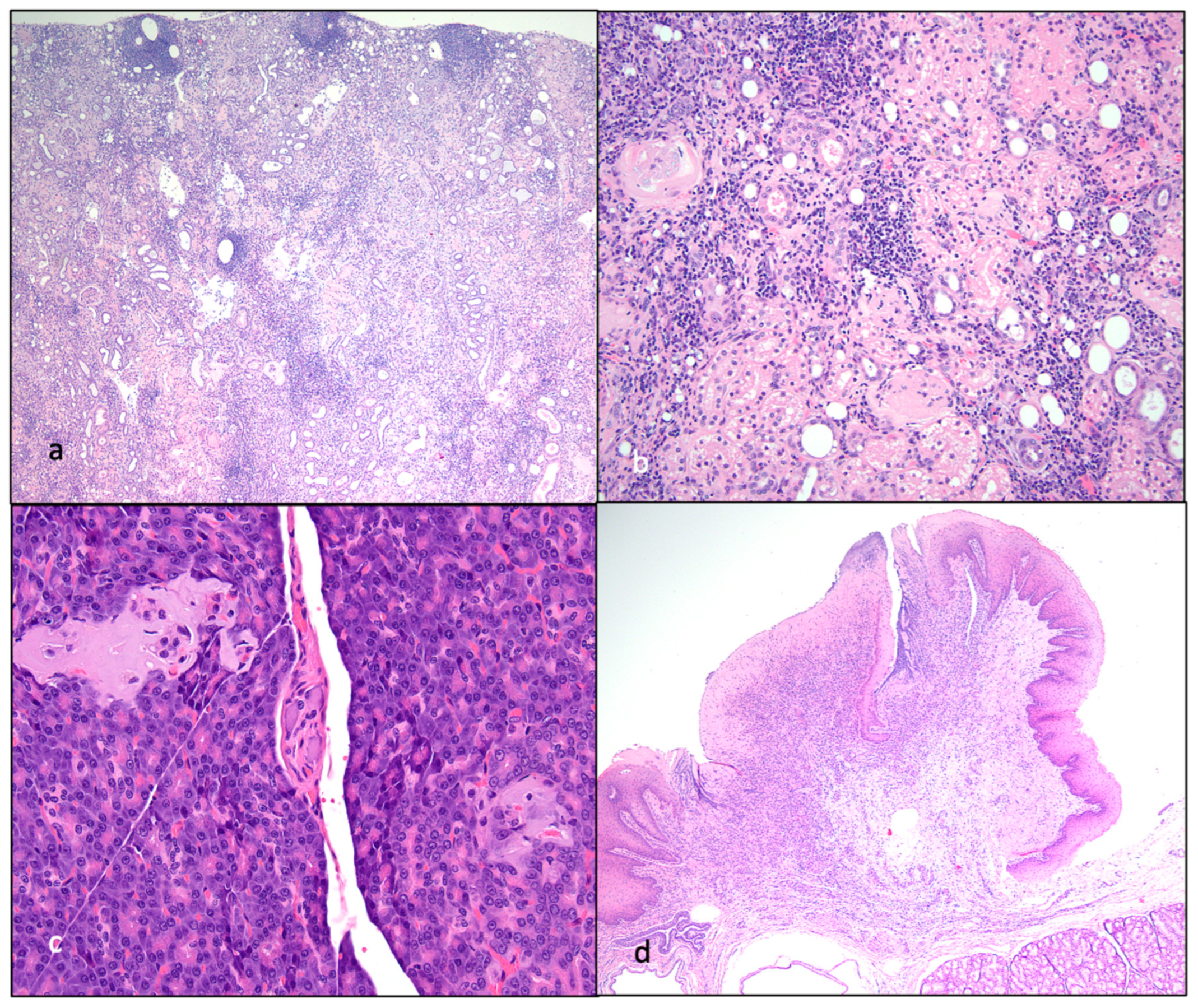 Preprints 80951 g013