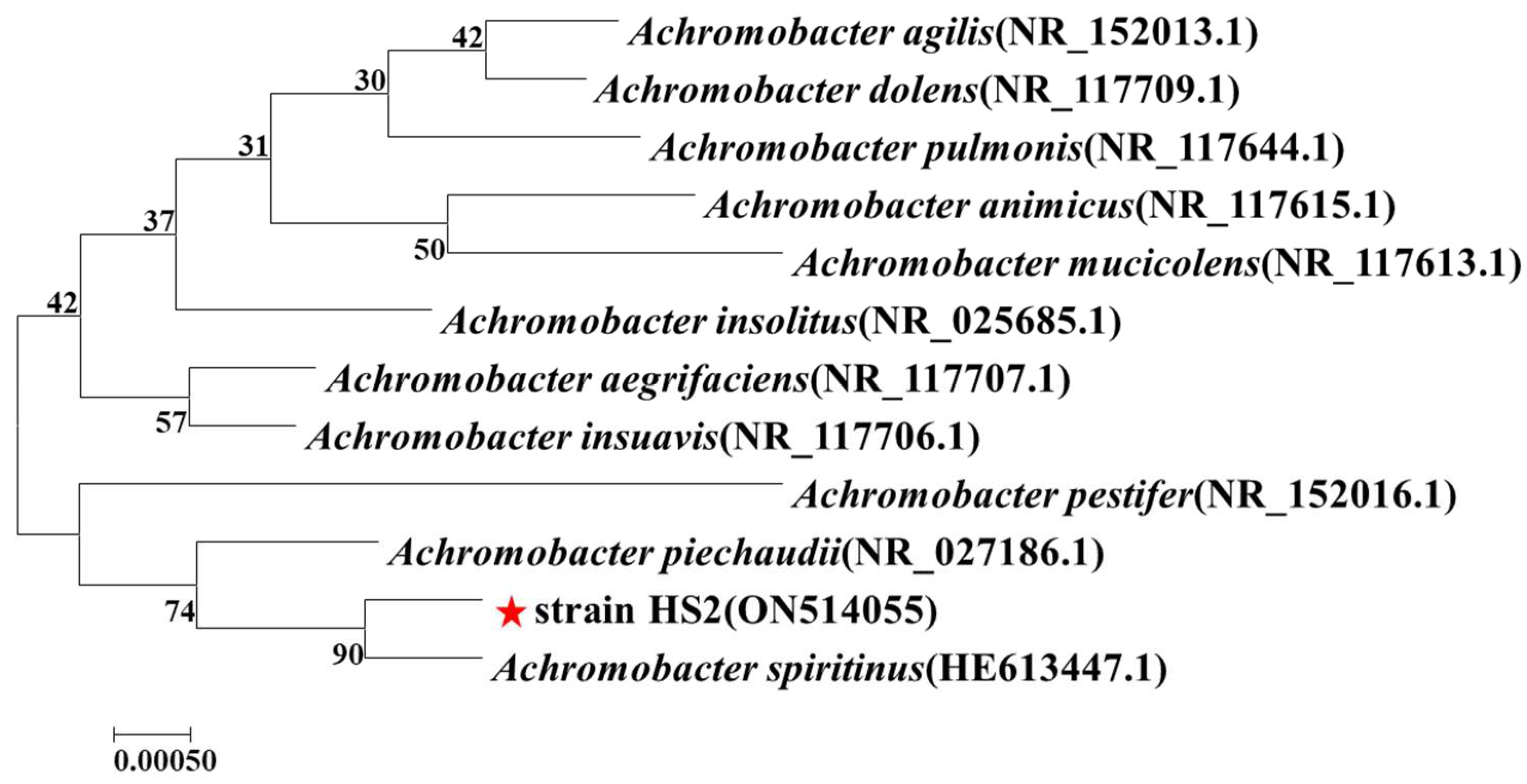 Preprints 98345 g002