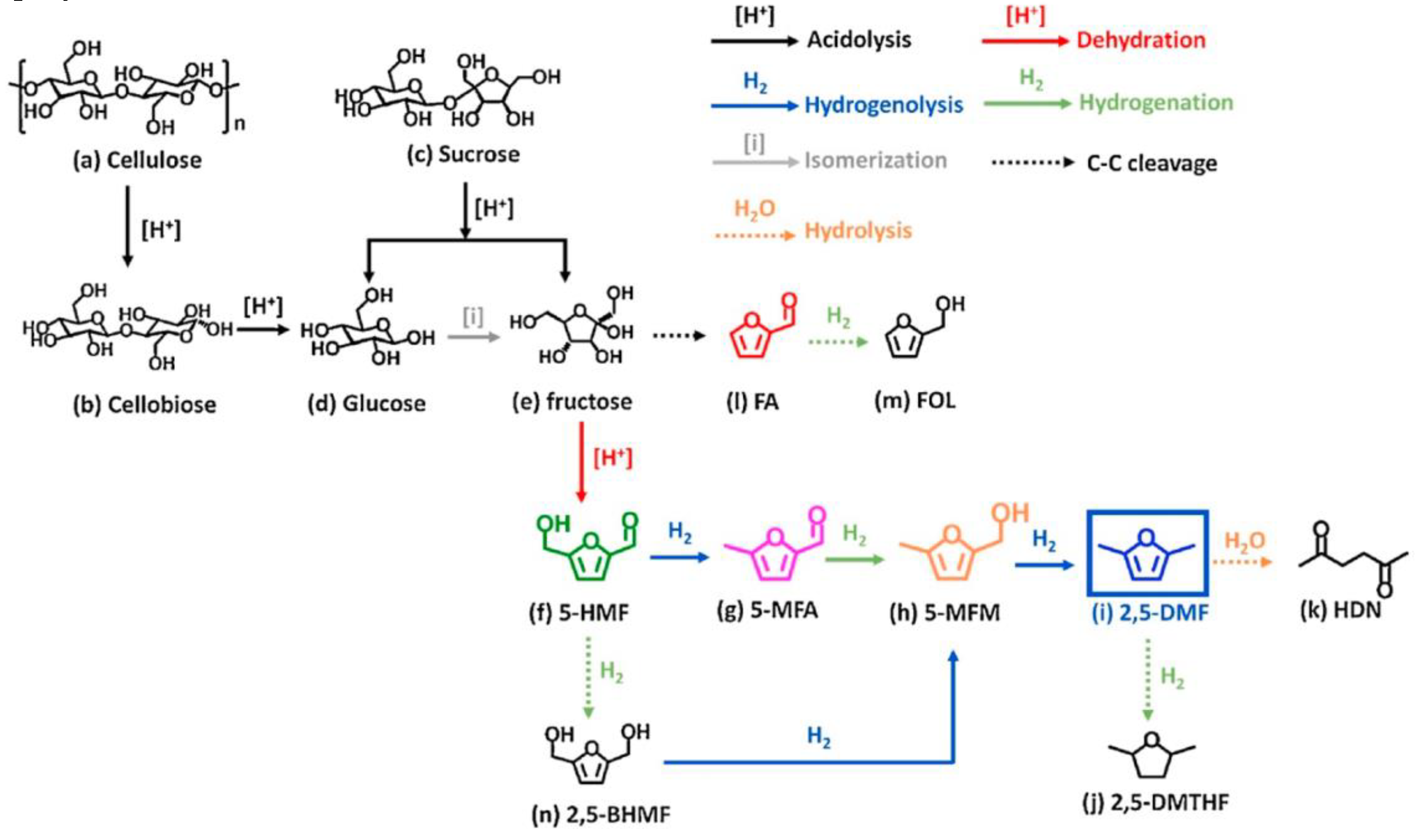 Preprints 78590 g050