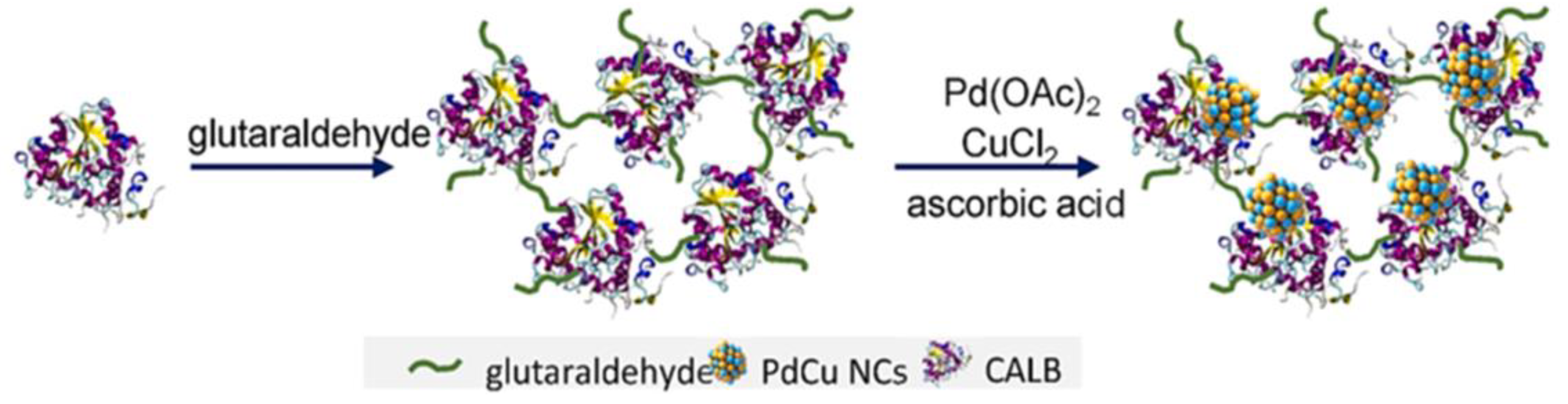 Preprints 78590 g056