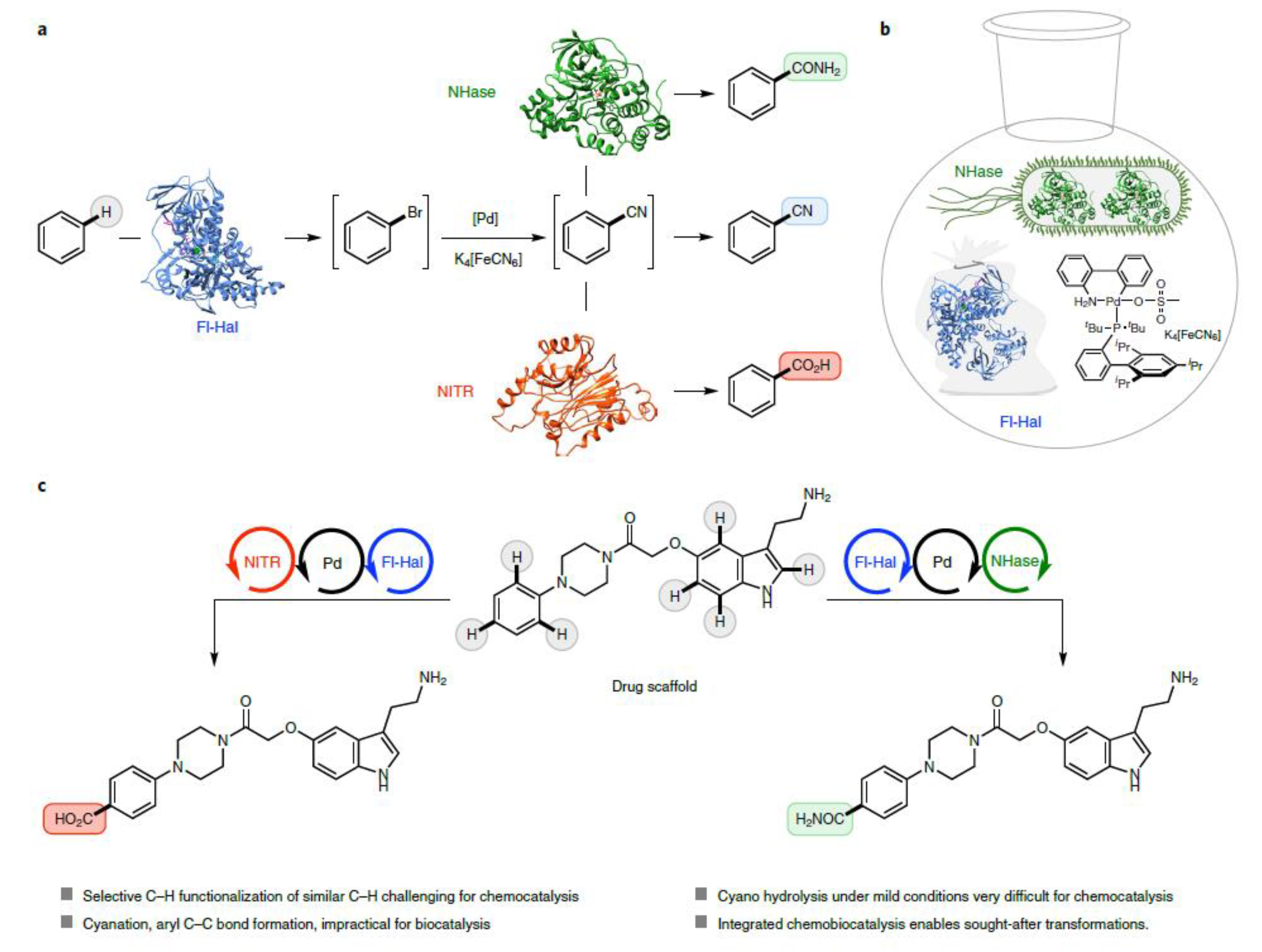 Preprints 78590 g059