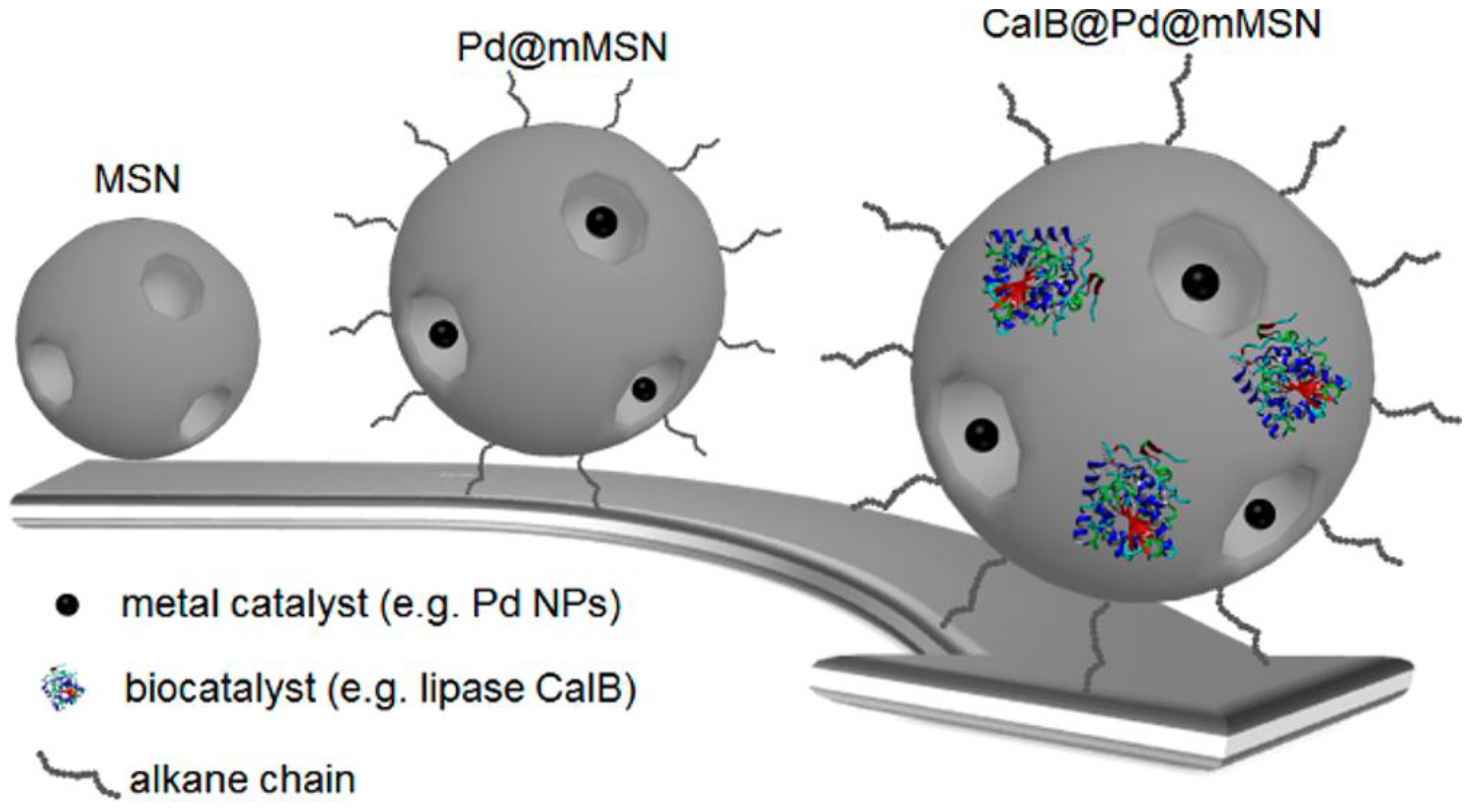 Preprints 78590 g061