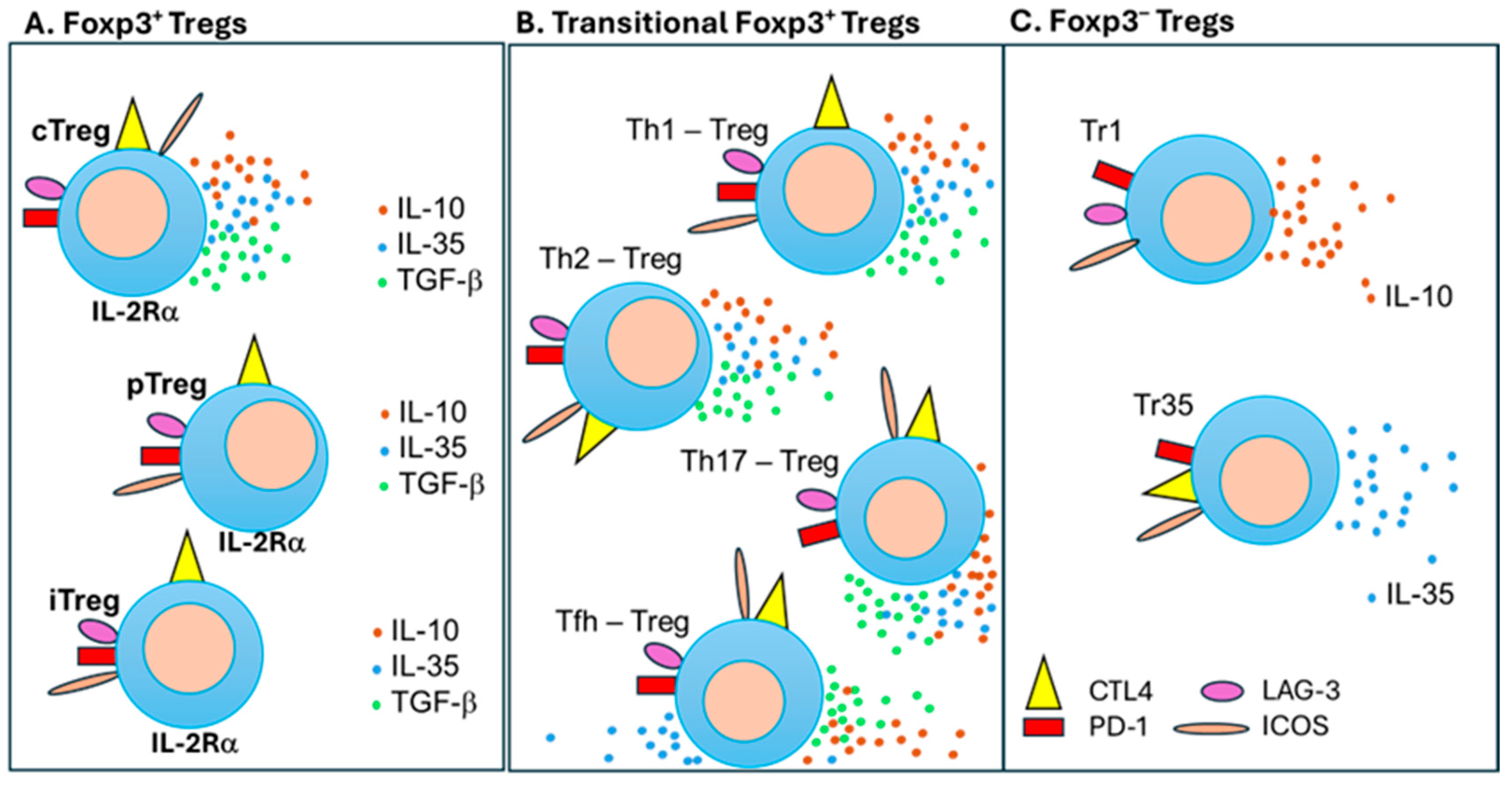 Preprints 112706 g003