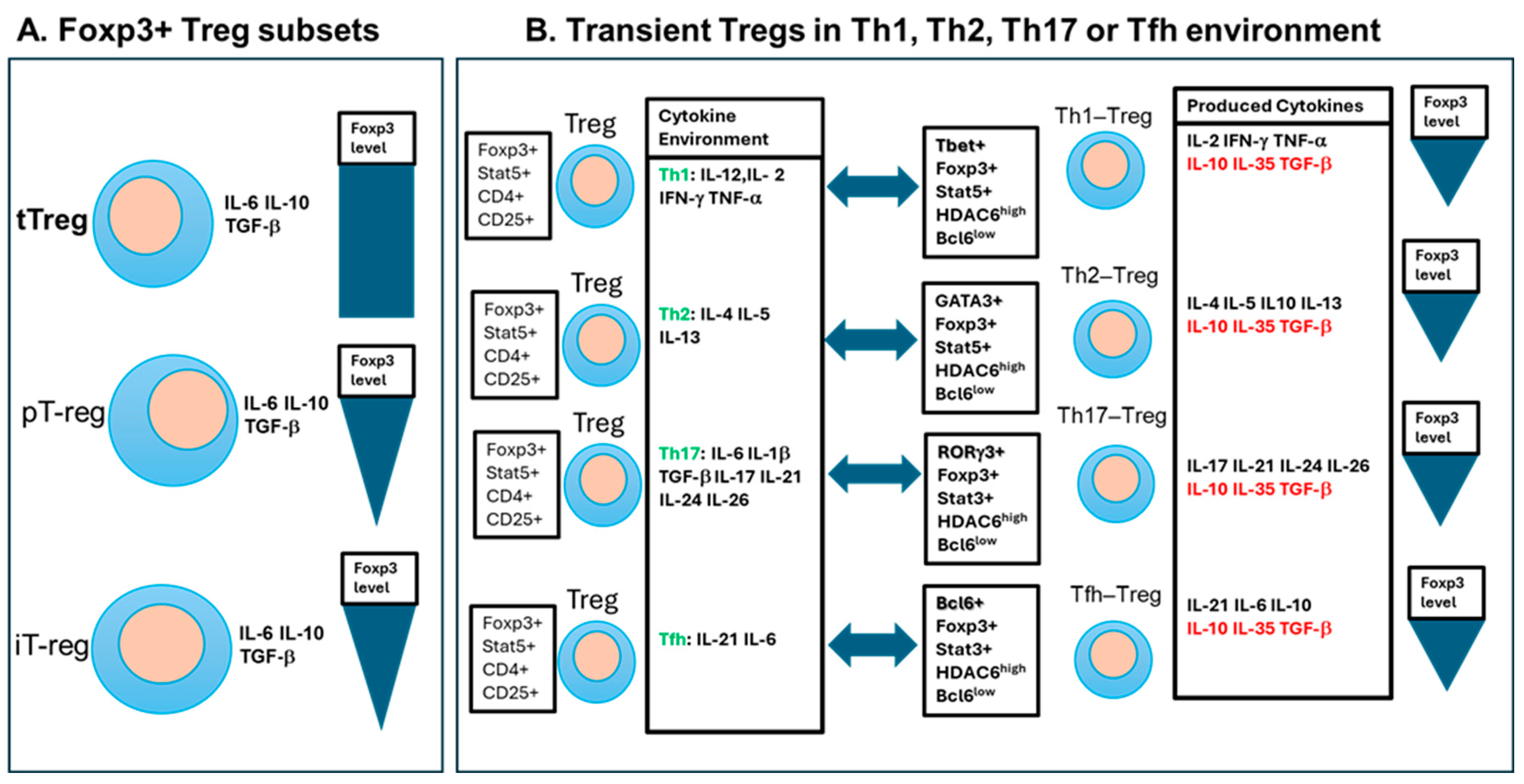 Preprints 112706 g006