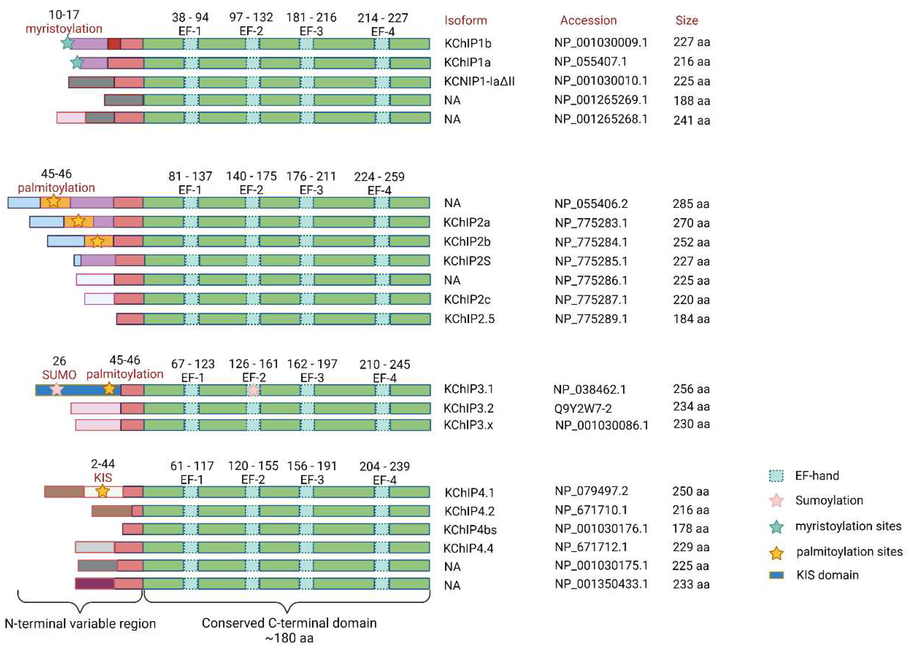 Preprints 77005 g001