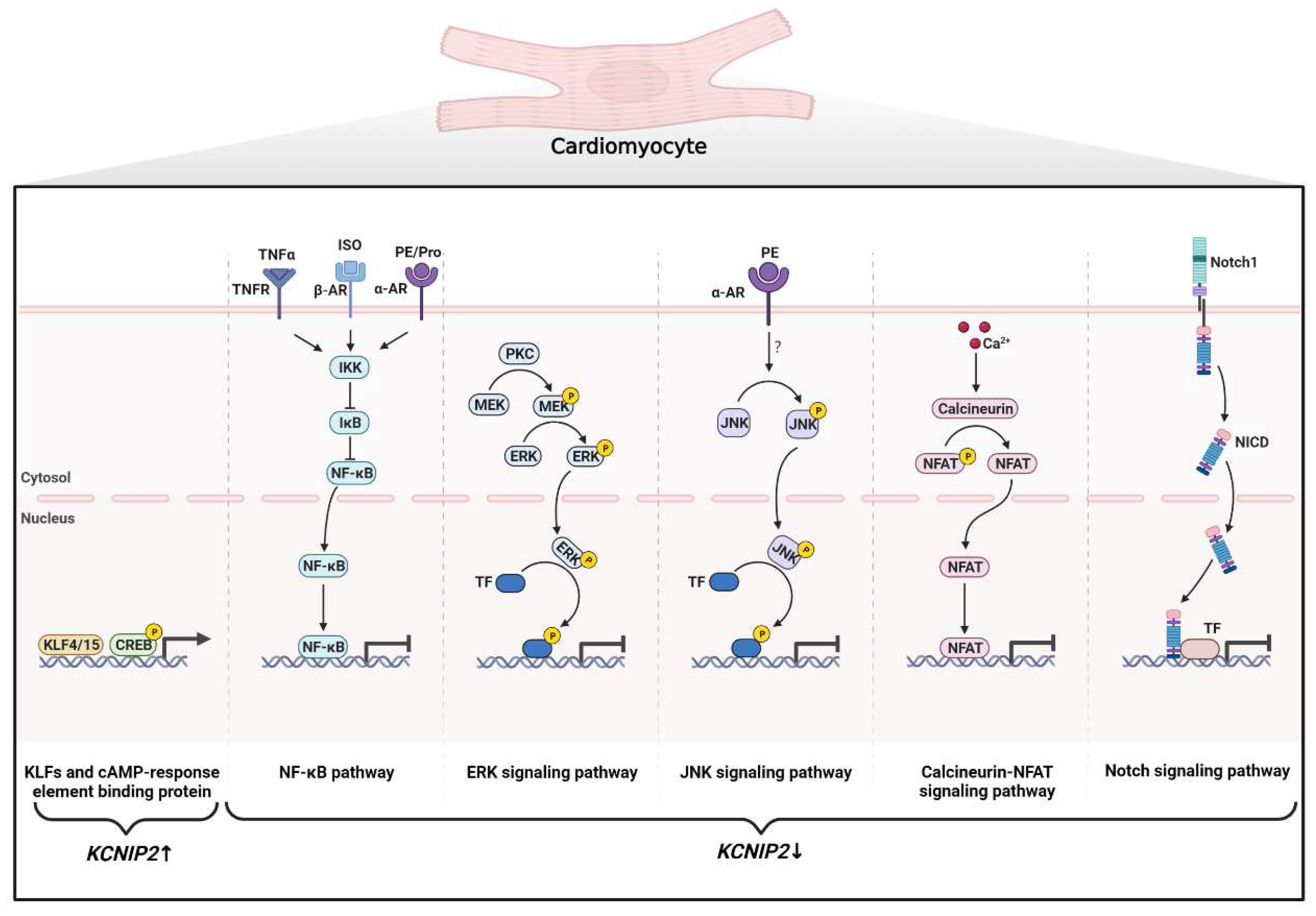 Preprints 77005 g002