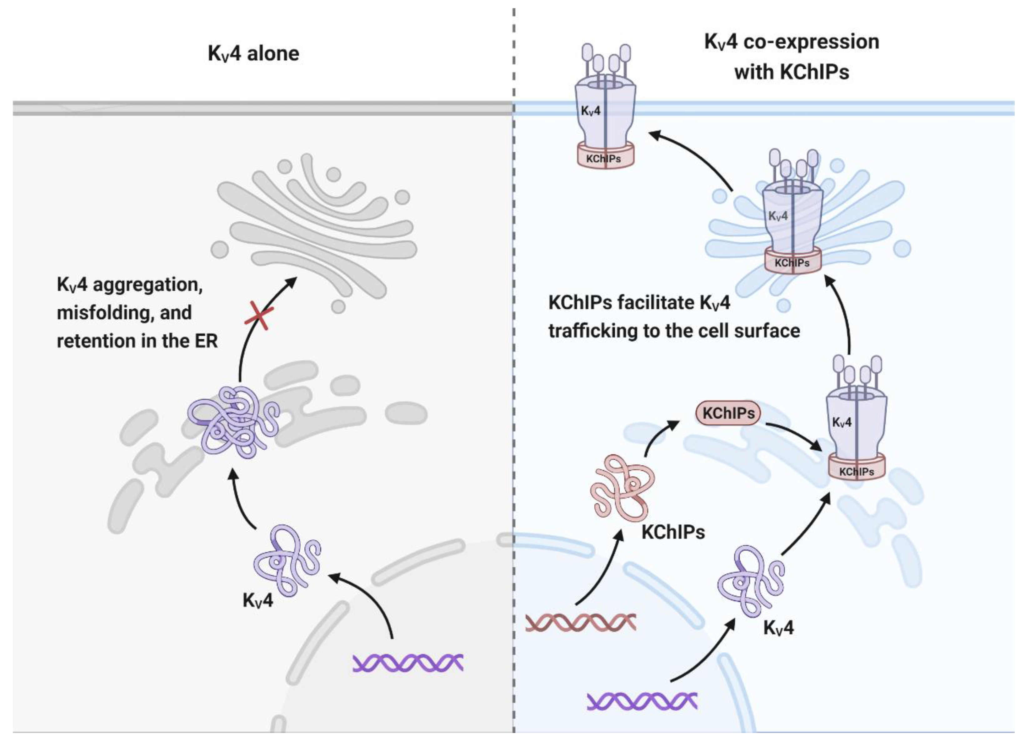 Preprints 77005 g003