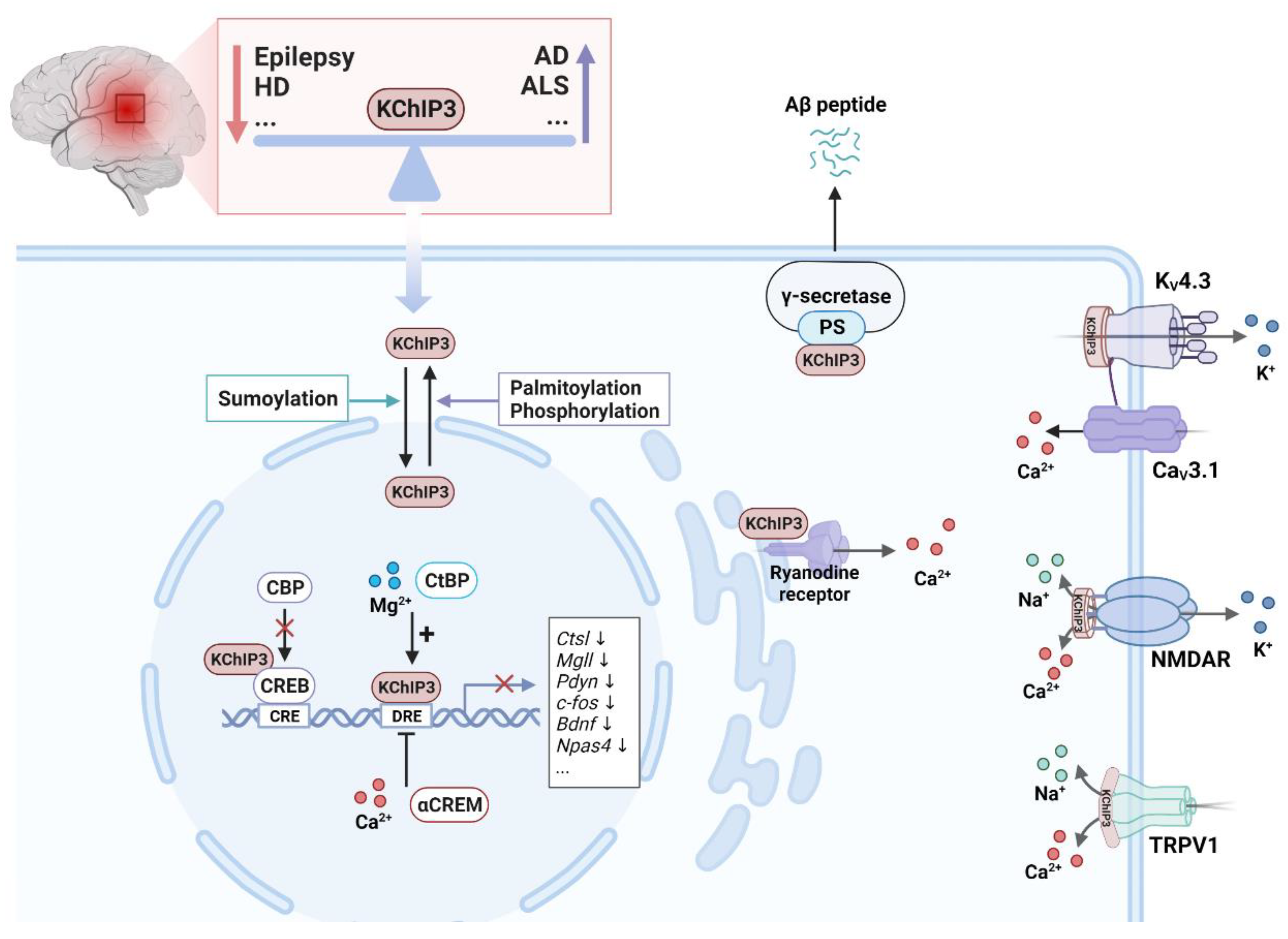 Preprints 77005 g004