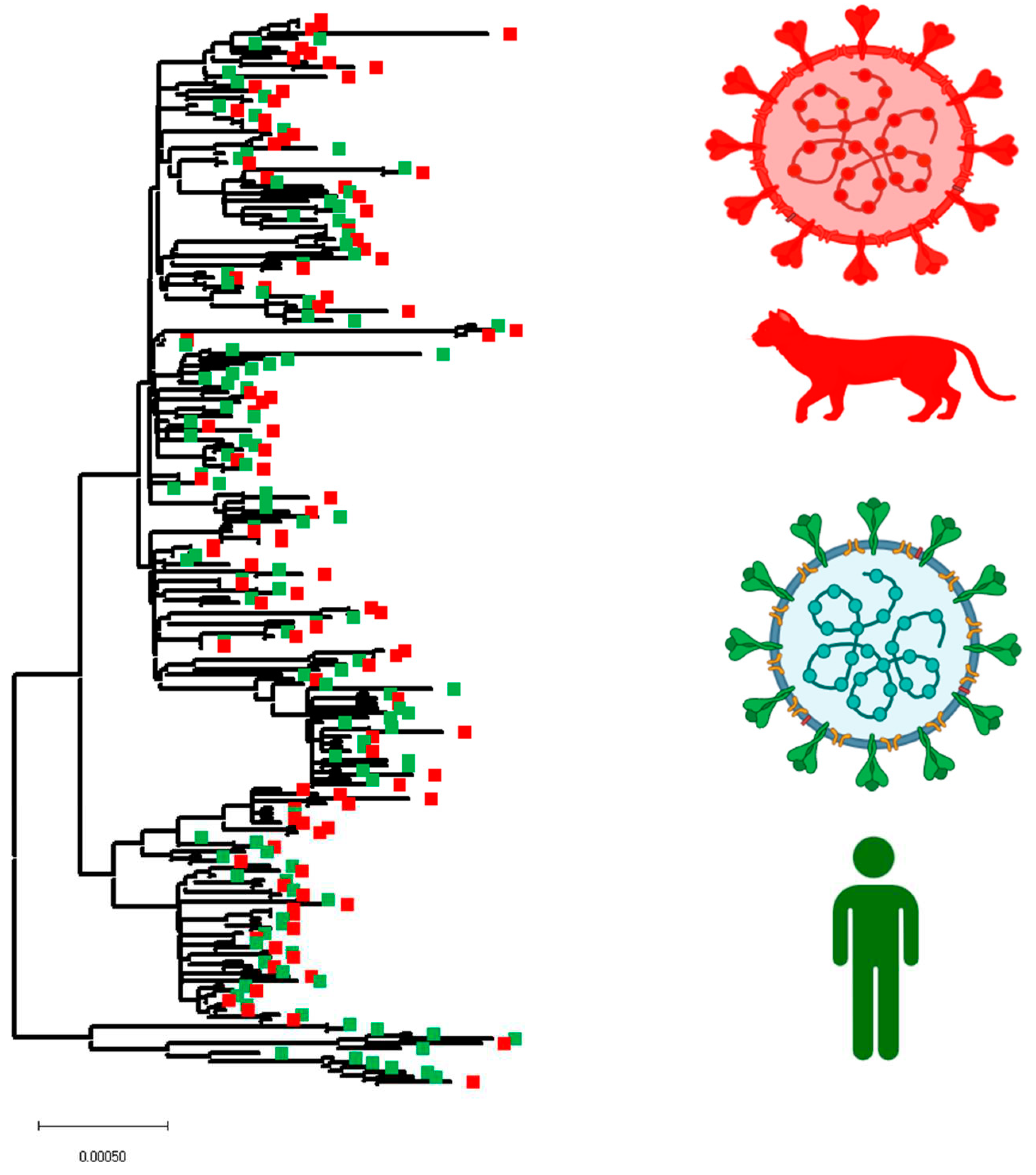 Preprints 87269 g005