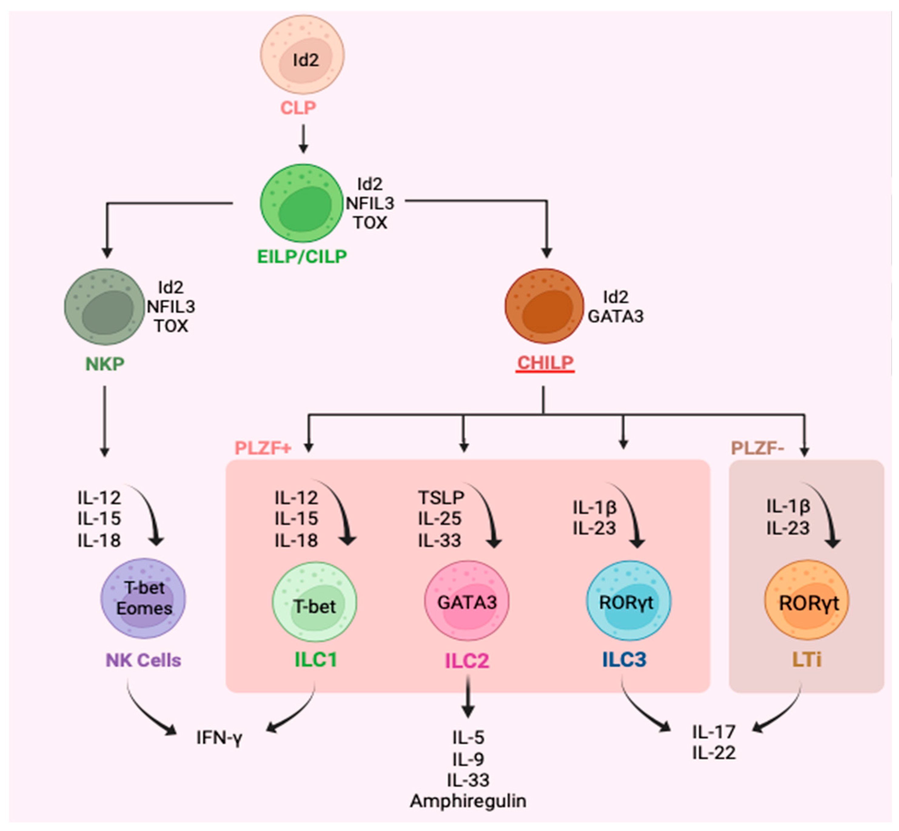 Preprints 85262 g001