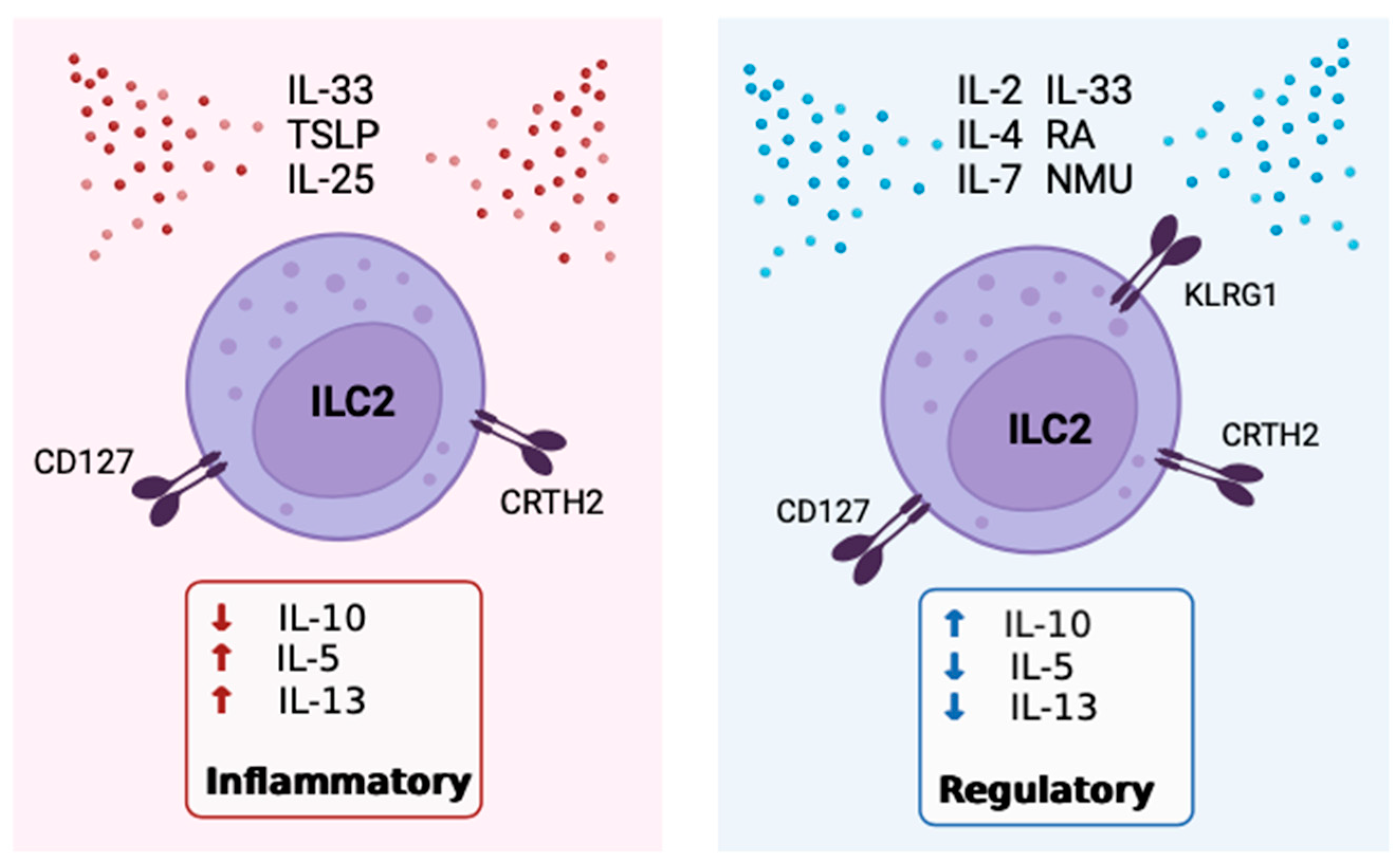 Preprints 85262 g003