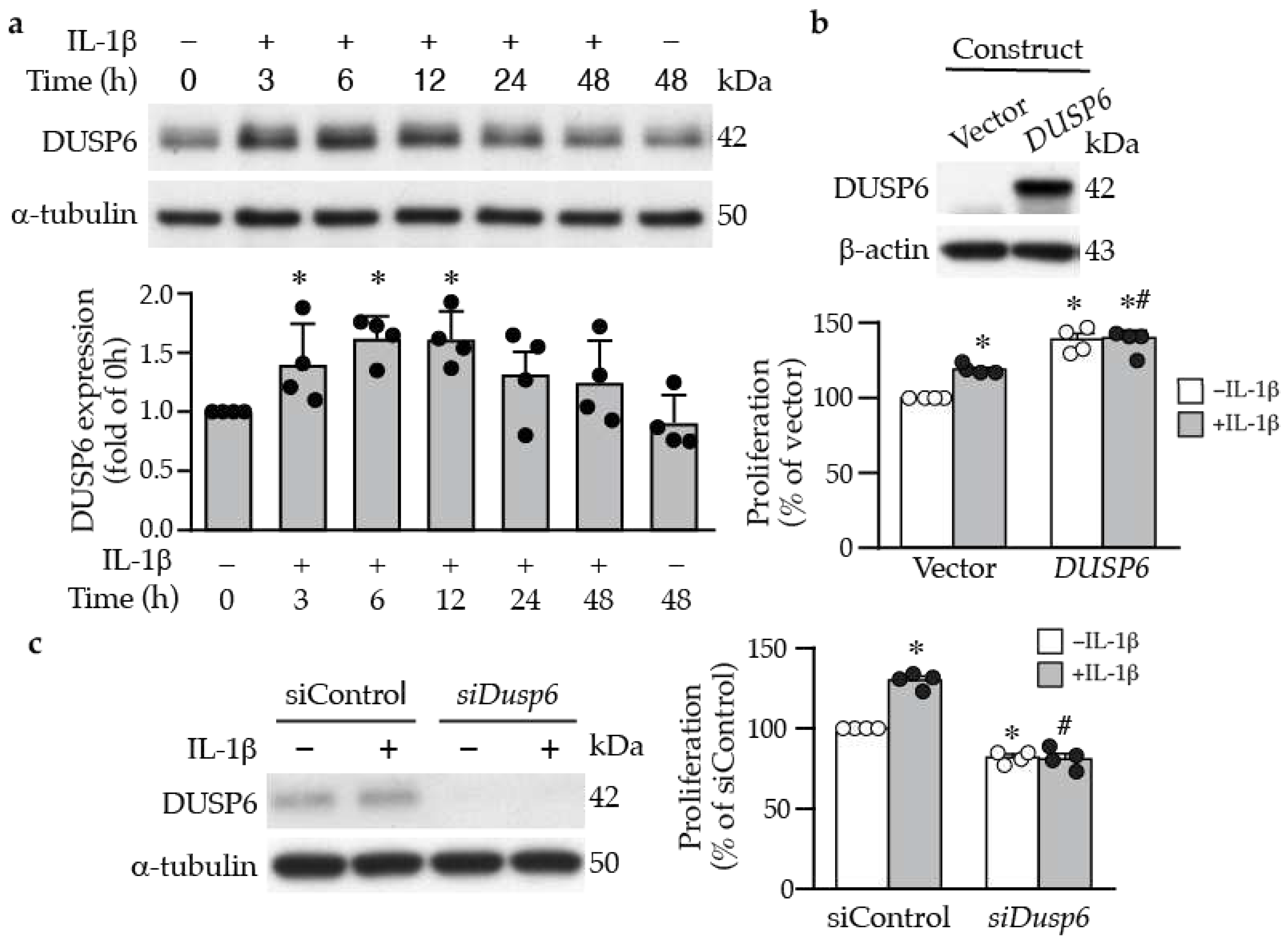 Preprints 88781 g002