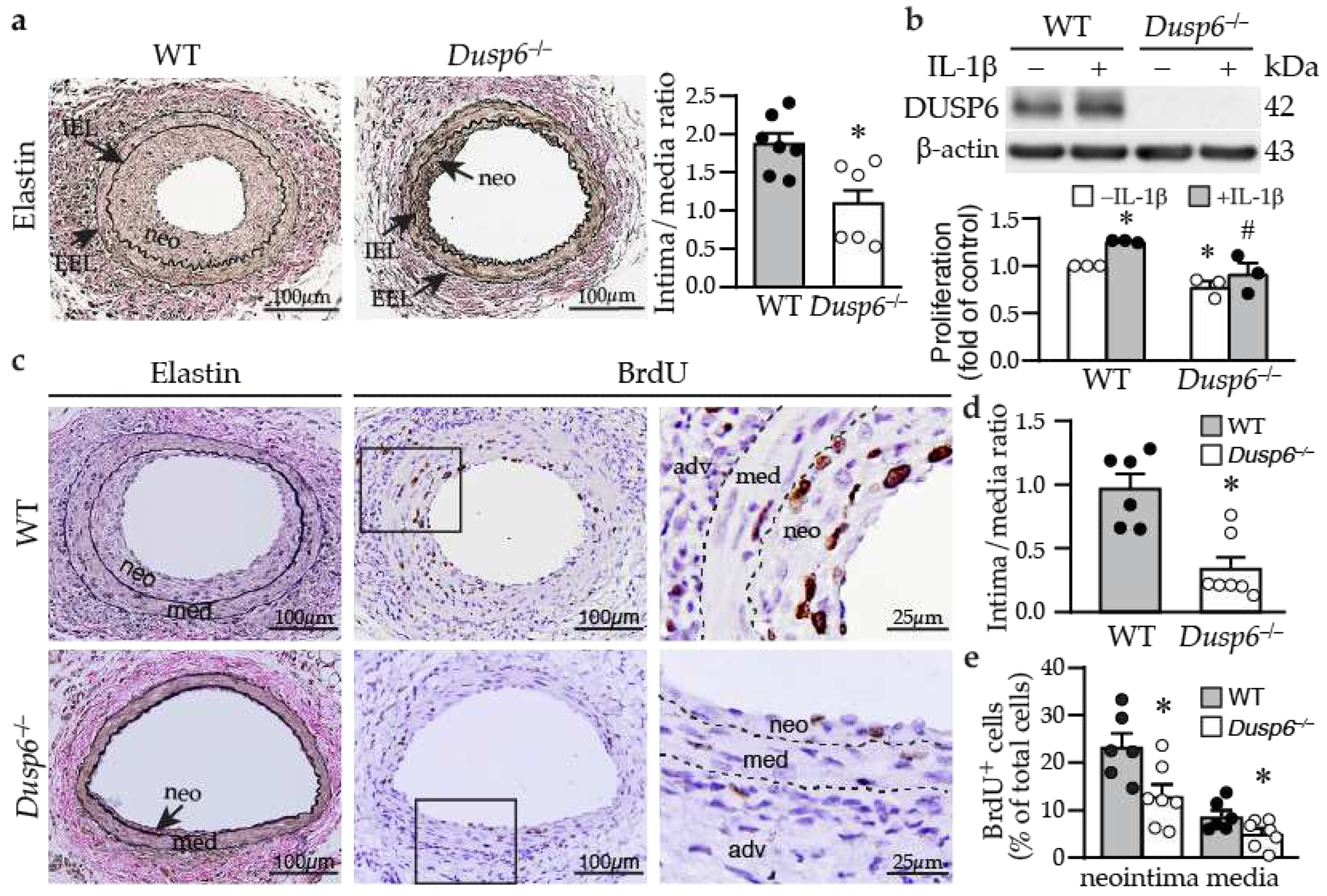 Preprints 88781 g003