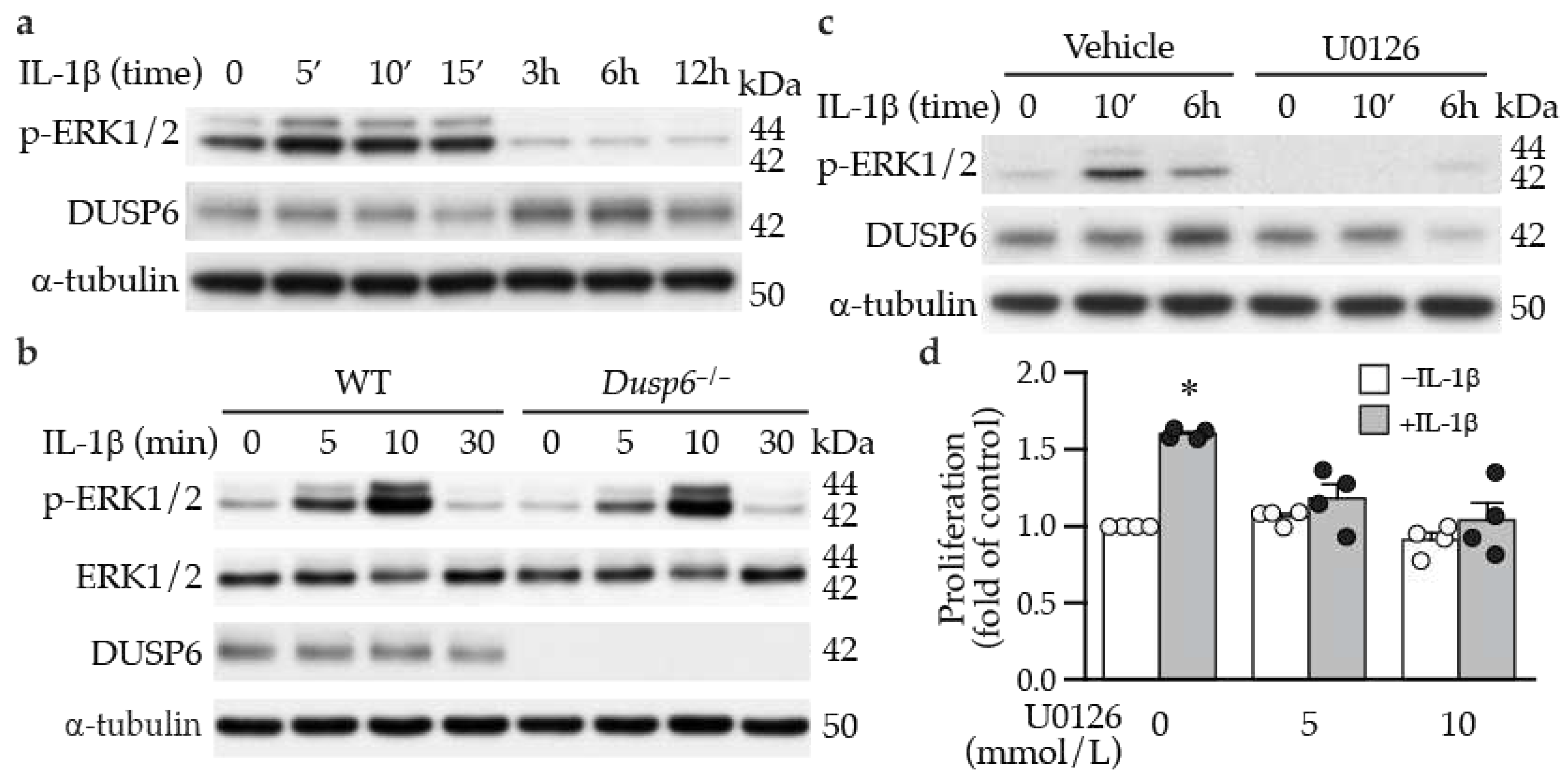 Preprints 88781 g004