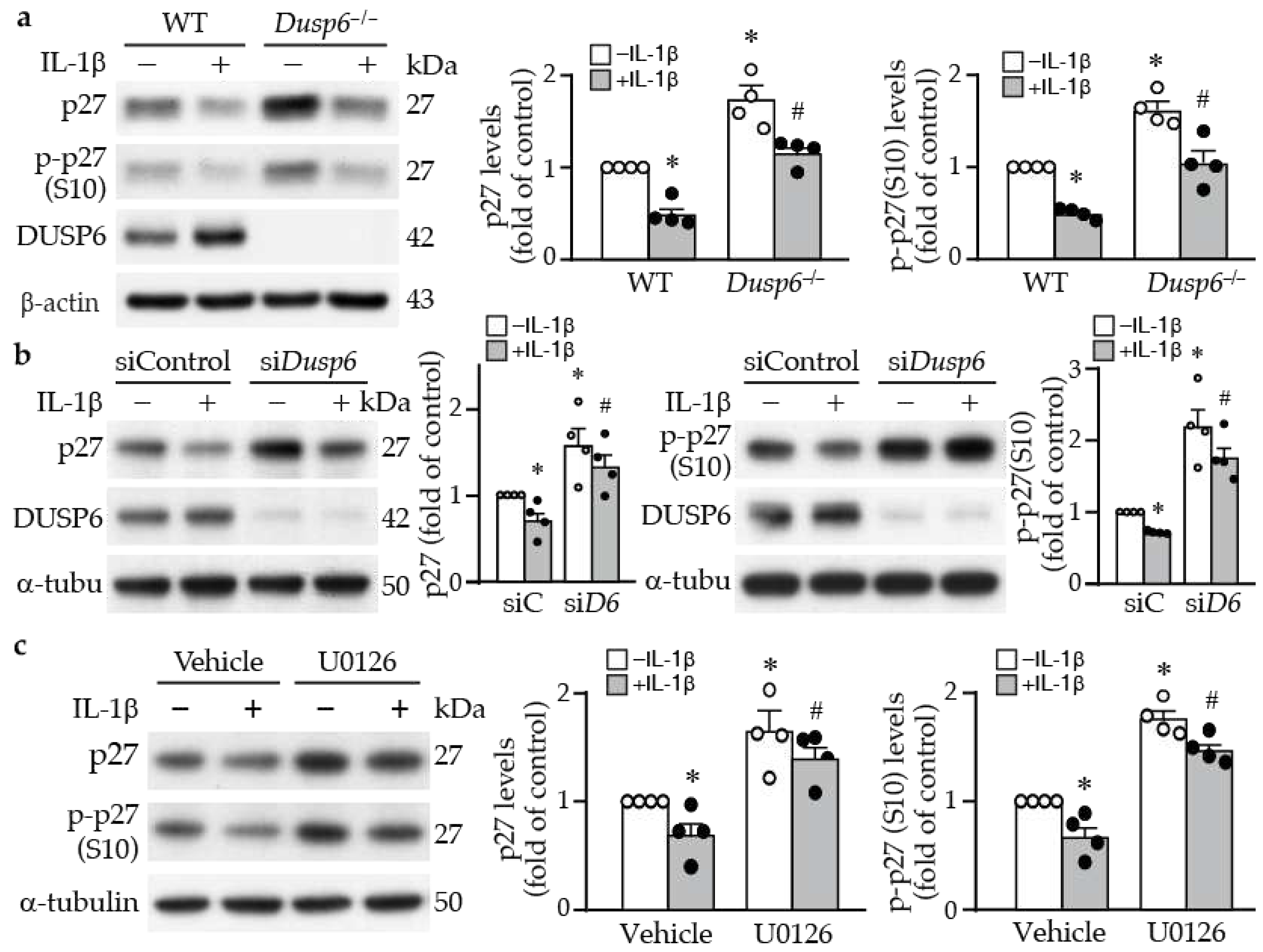 Preprints 88781 g005